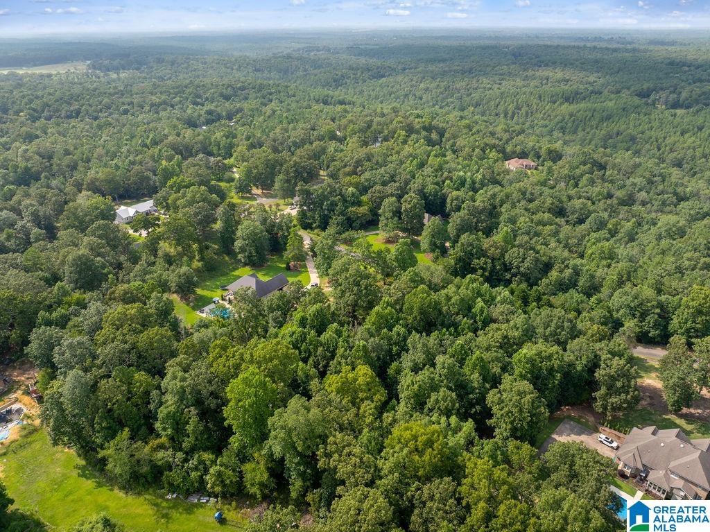 5th image of 000 Estates Dr, Jasper, AL 35504 | MLS# 21461638