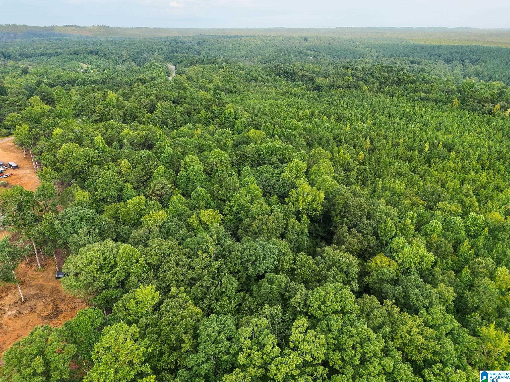 3rd image of 658 County Road 249, Clanton, AL 35046 | MLS# 21461641