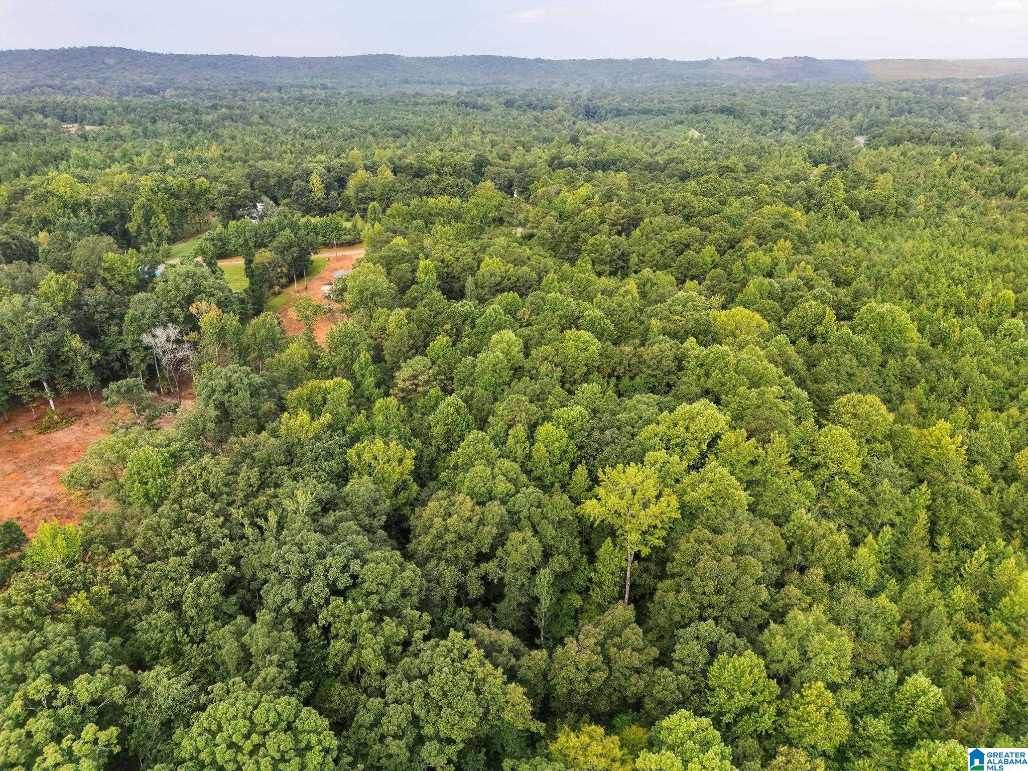 4th image of 658 County Road 249, Clanton, AL 35046 | MLS# 21461641