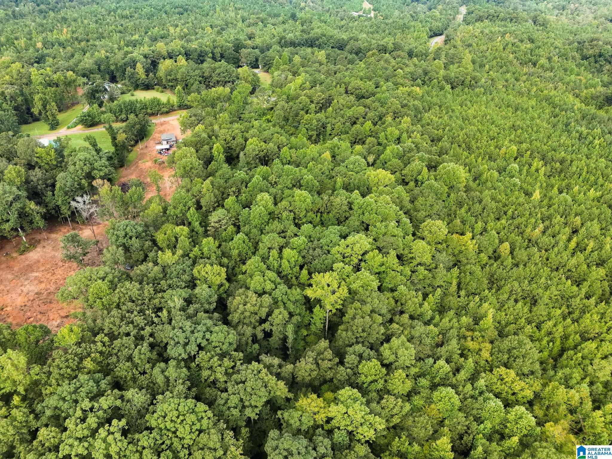 5th image of 658 County Road 249, Clanton, AL 35046 | MLS# 21461641