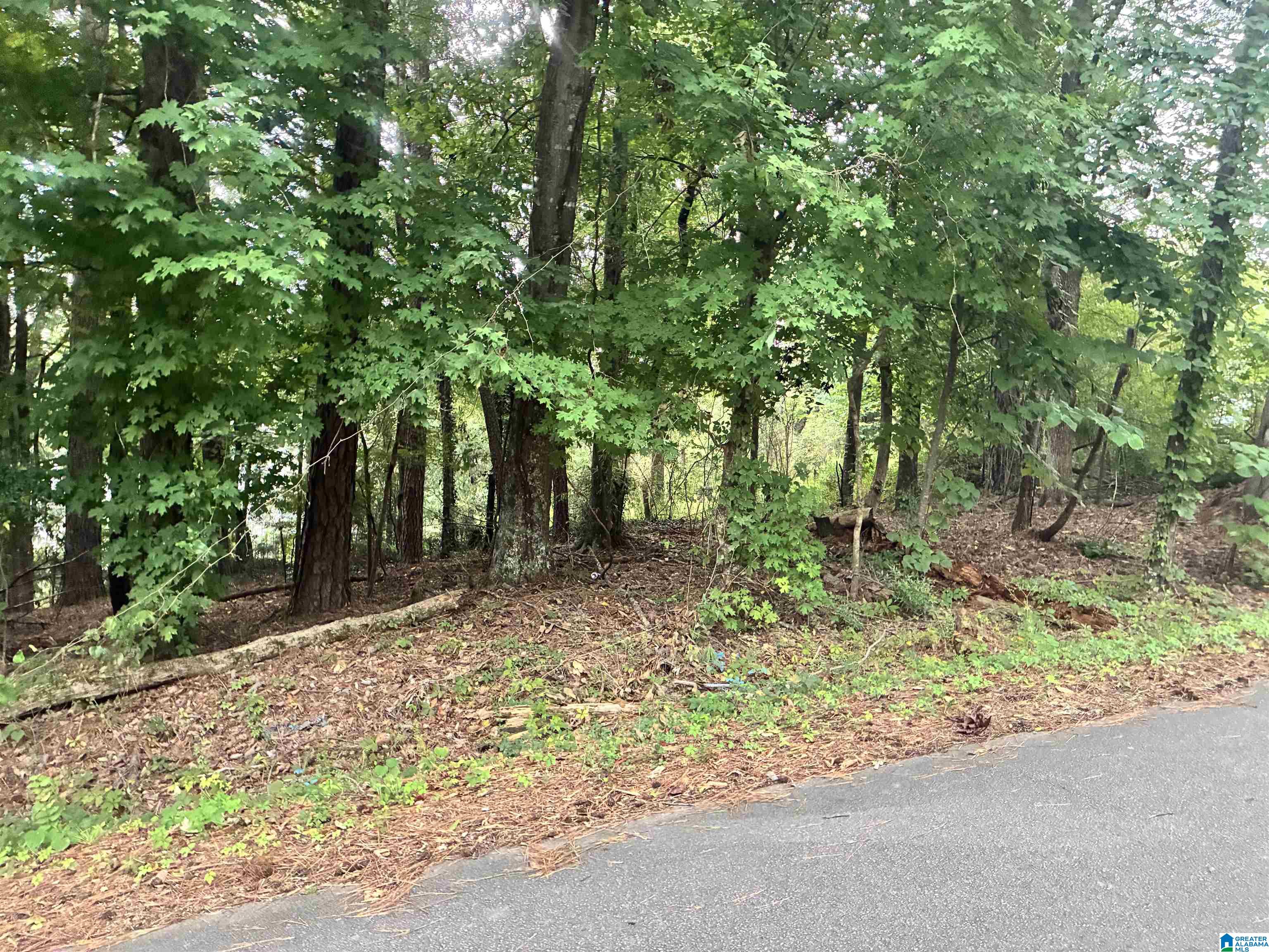 316 WARRIOR RIVER HIGHLANDS ROAD