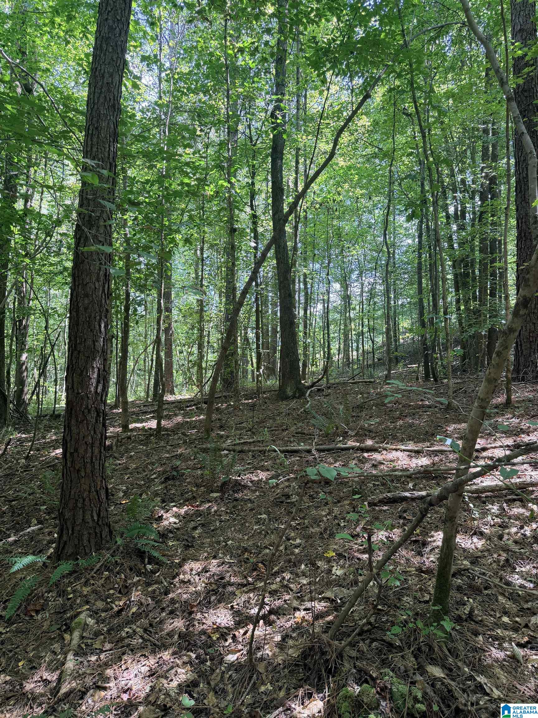 Photo 6 of Land for sale at 0 Highland St, Addison, AL 35540 | MLS# 21461656 | Listing updated on 2026-08-26