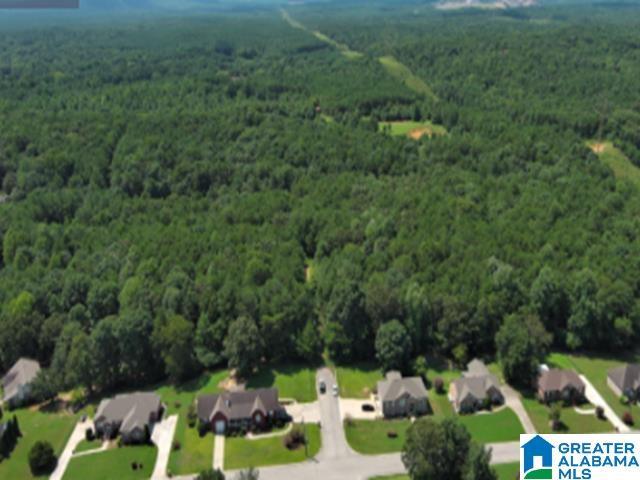 3515 LONE OAK LANE