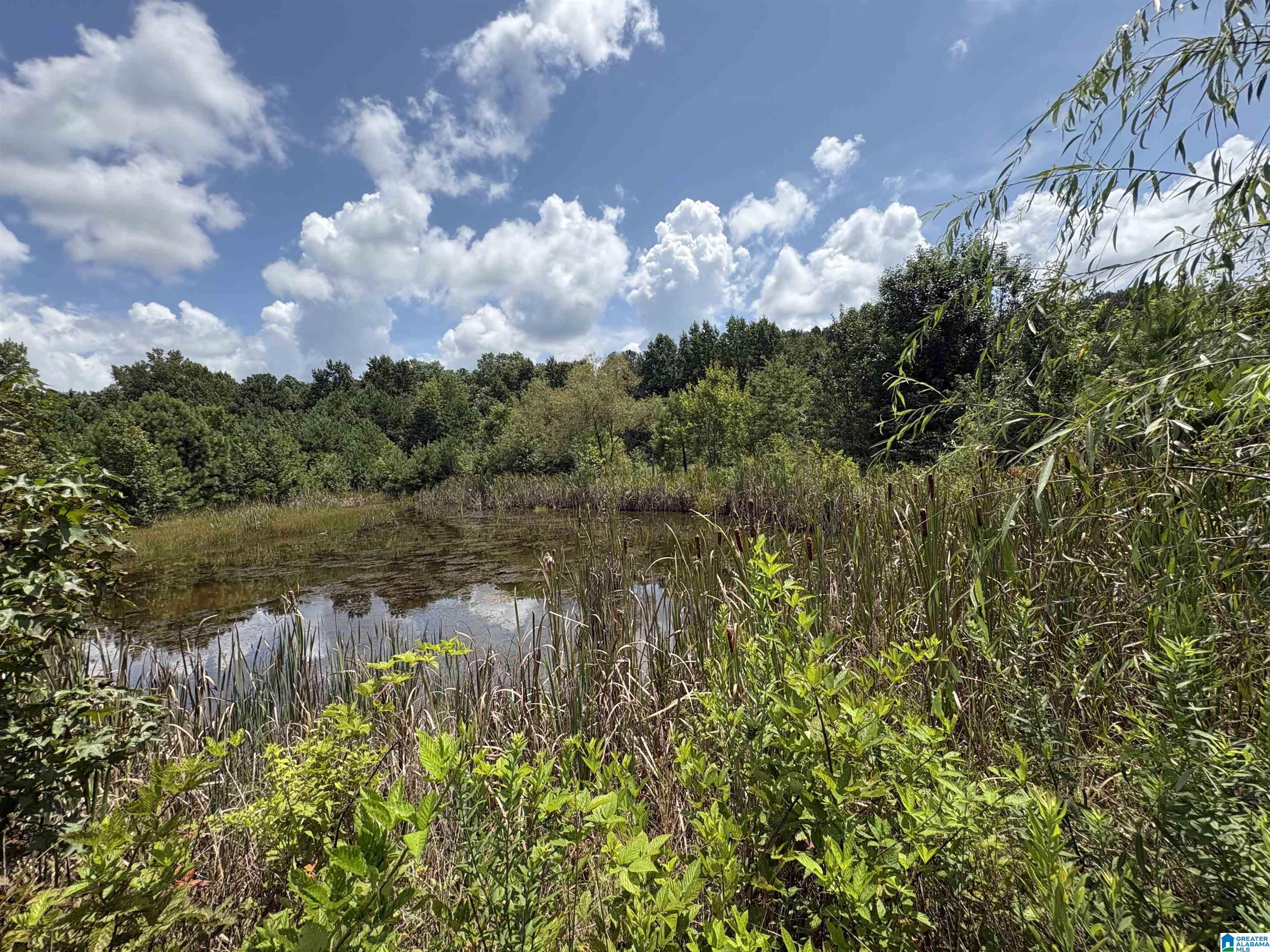 16th image of 12856 Hwy 78, Fruithurst, AL 36262 | MLS# 21461714