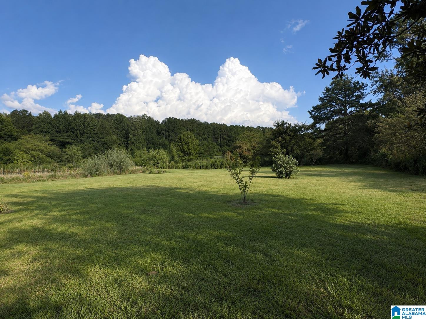 3rd image of 12856 Hwy 78, Fruithurst, AL 36262 | MLS# 21461714