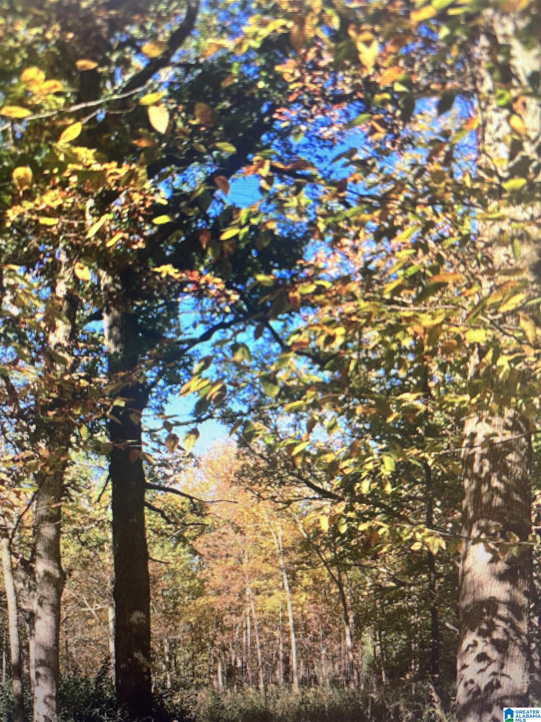 1399 ROCK CREEK ROAD