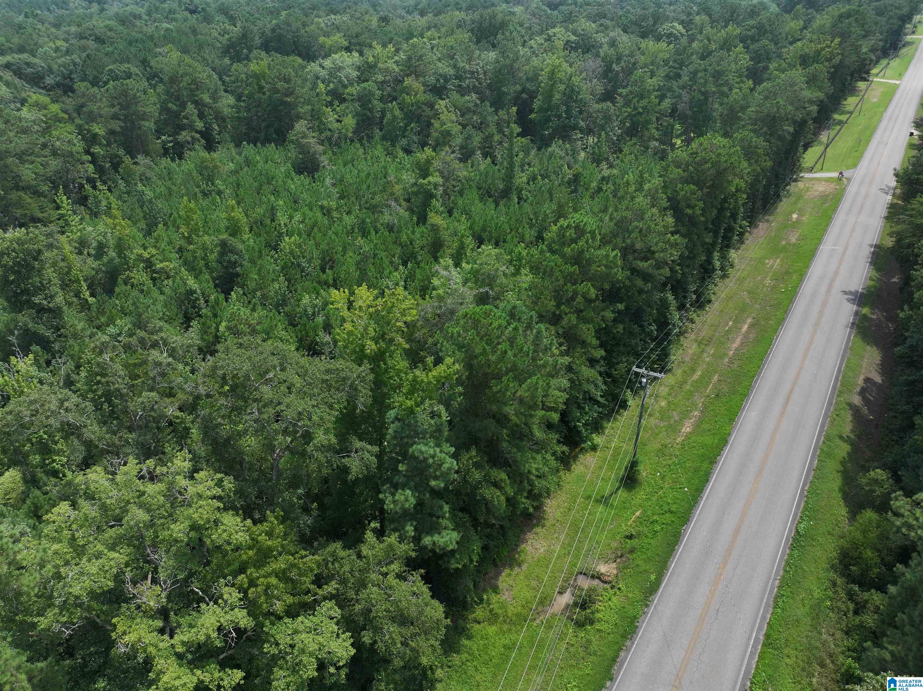 4th image of 0 Bear Creek Road, Sterrett, AL 35147 | MLS# 21461806