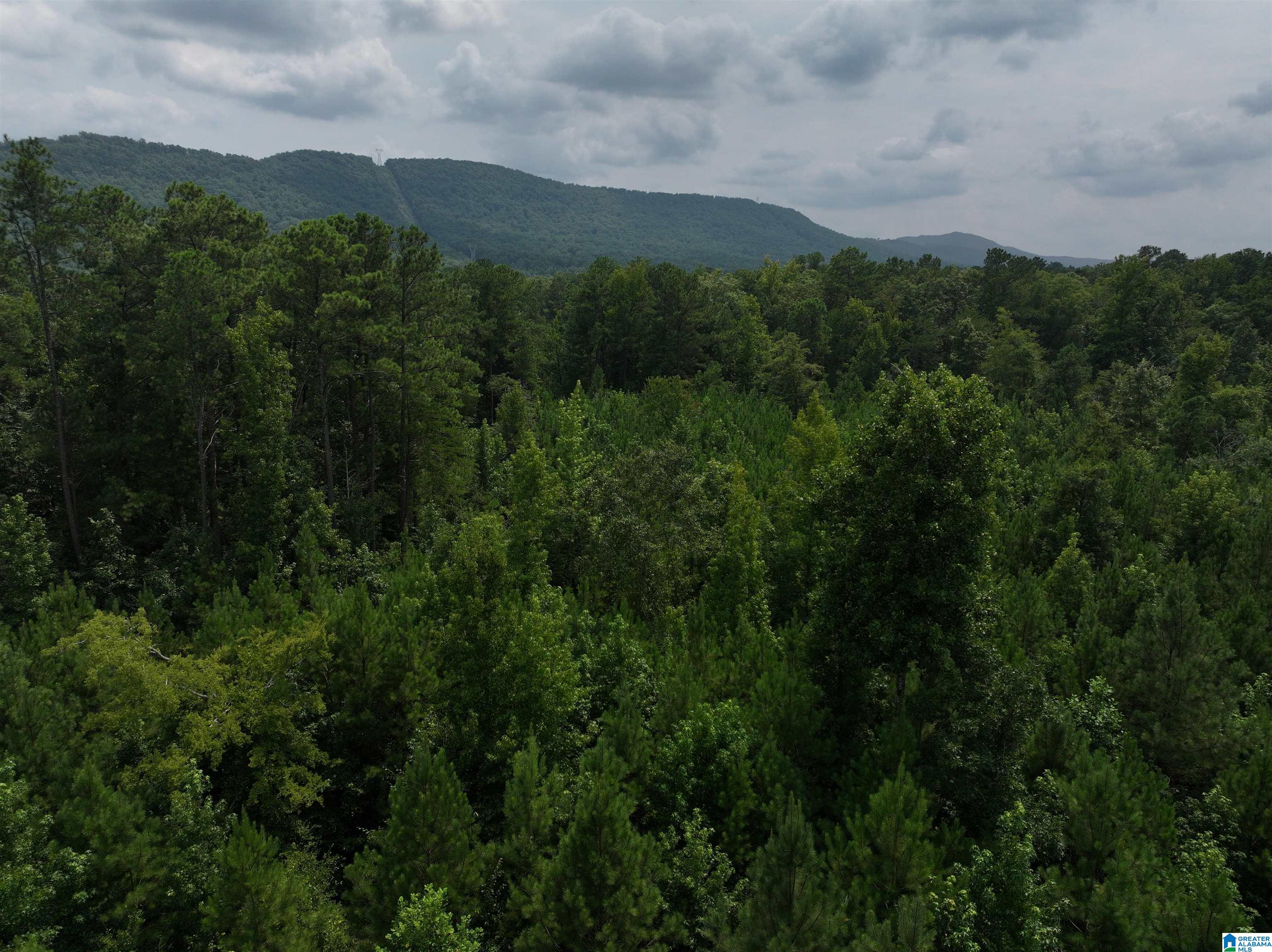 5th image of 0 Bear Creek Road, Sterrett, AL 35147 | MLS# 21461806