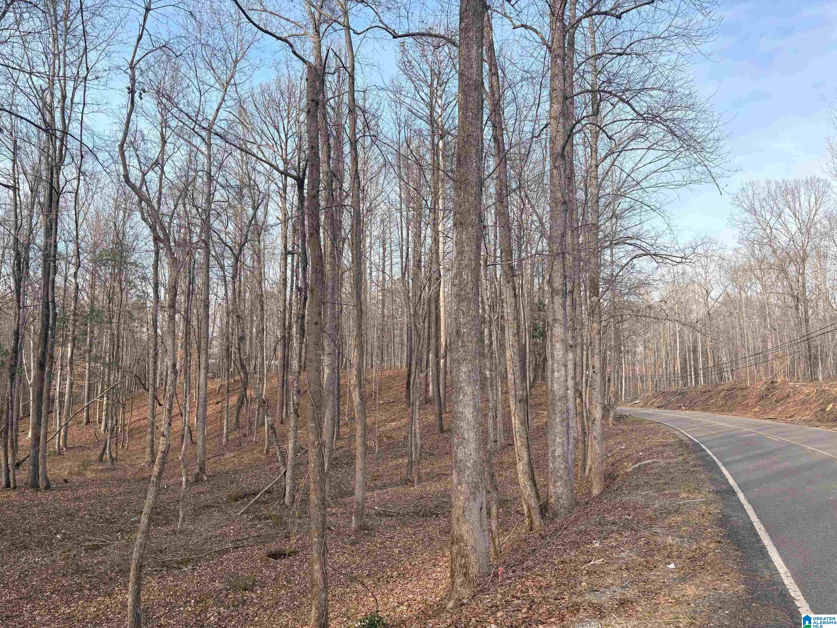 0002 TRUMAN ALDRICH PARKWAY