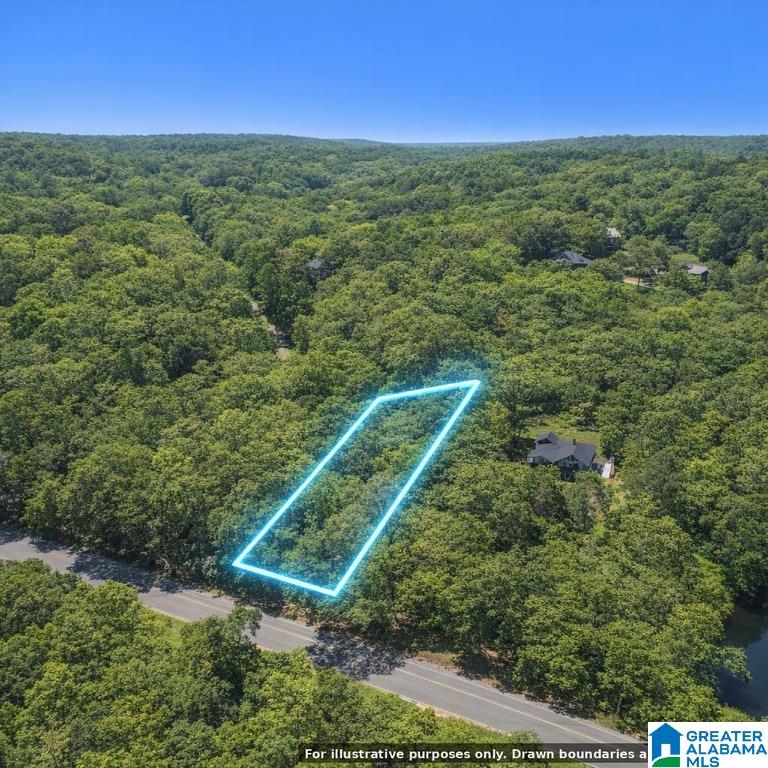 Photo 3 of Land for sale at 106 +/  Acres Hwy 41, Leeds, AL 35094 | MLS# 21462007 | Listing updated on 2026-08-13
