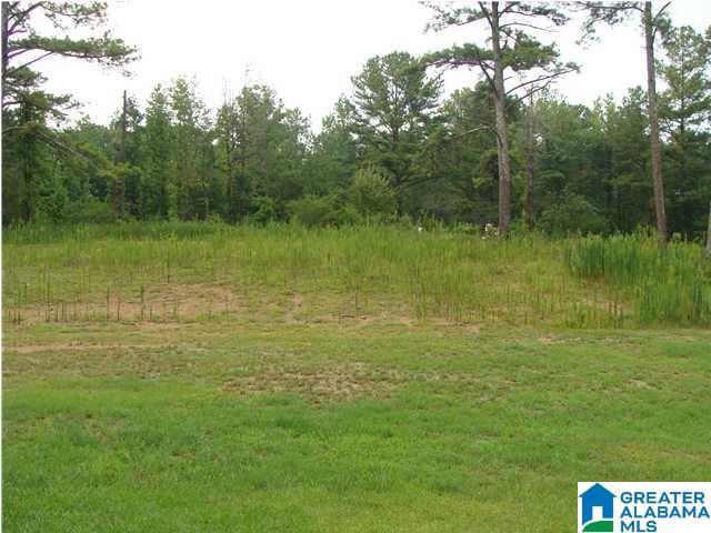 1st image of 9166 Thermal Road, Warrior, AL 35180 | MLS# 21462068