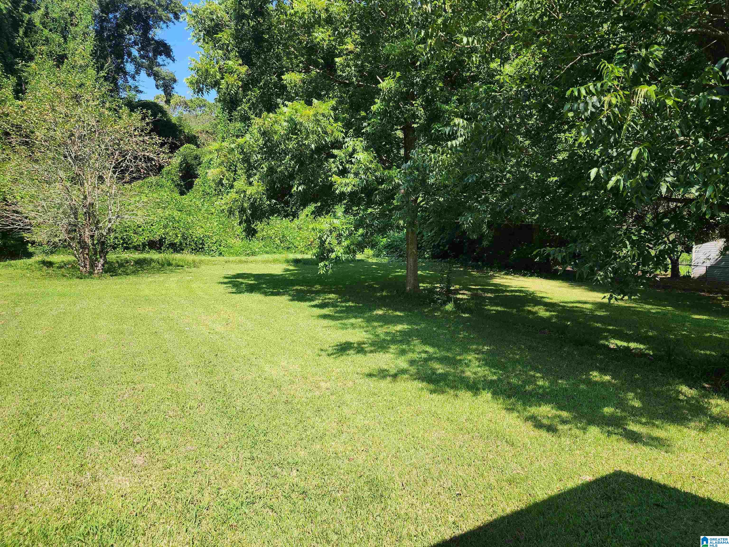 3rd image of 123 Lakeview Dr, Roanoke, AL 36274 | MLS# 21462086