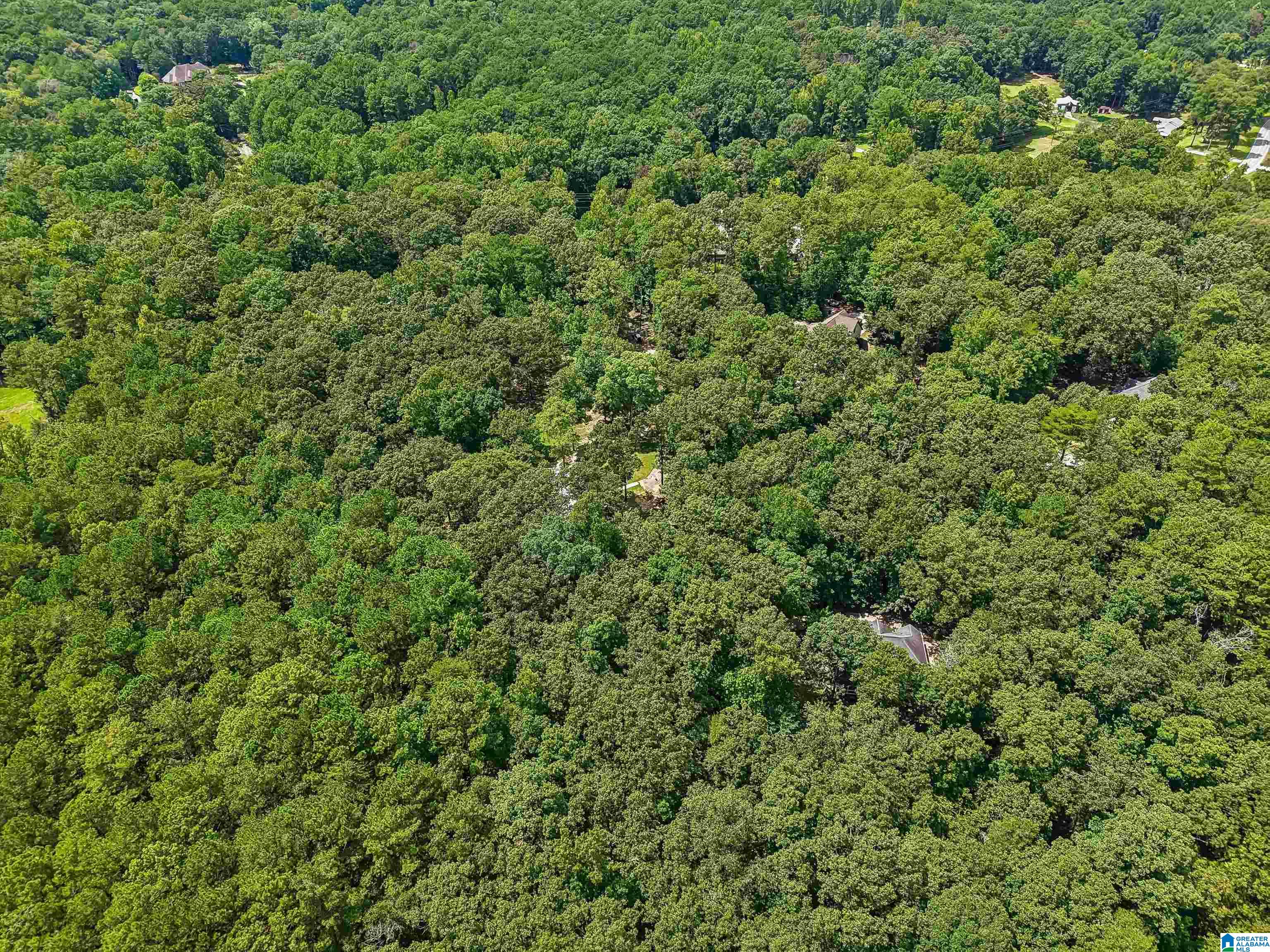 50th image of 2701 Hwy 39, Chelsea, AL 35043 | MLS# 21462089