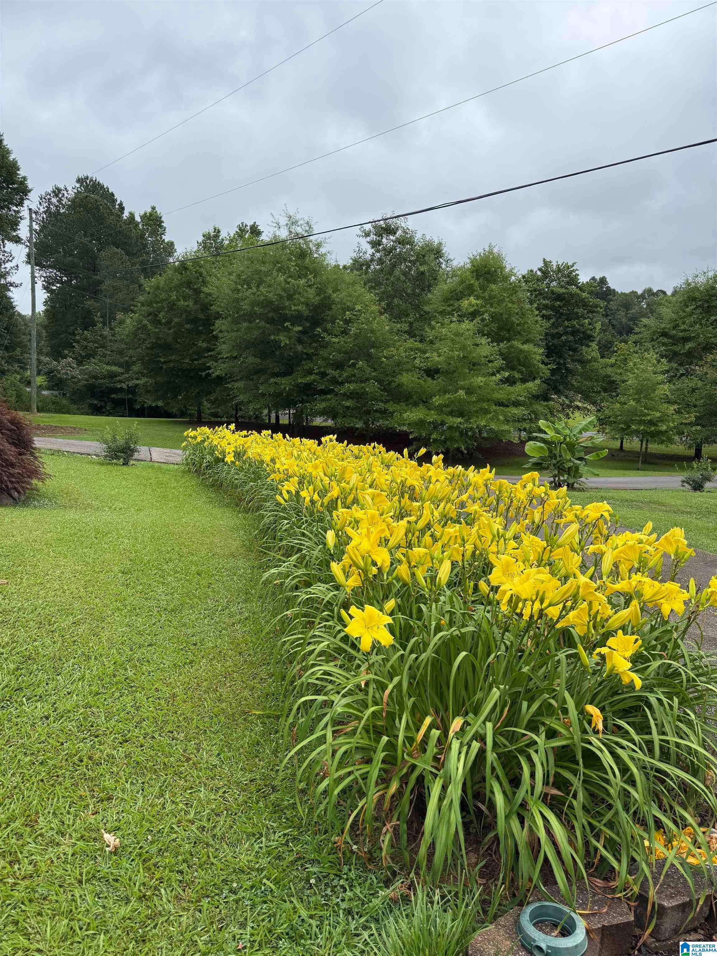 54th image of 1975 Roberts Mill Pond Road, Pell City, AL 35128 | MLS# 21462106