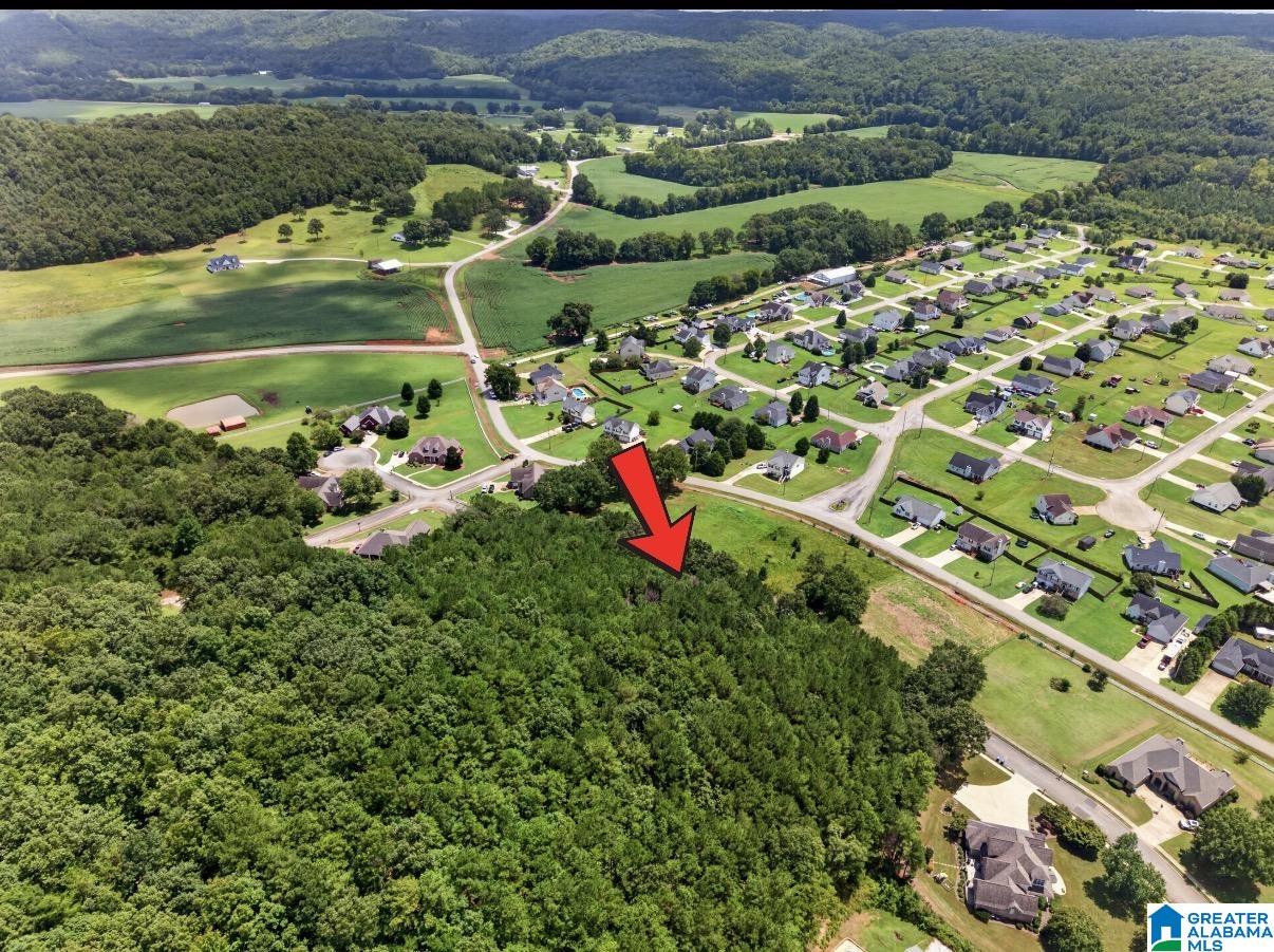 1st image of 55 Canaan Circle, Anniston, AL 36207 | MLS# 21462111