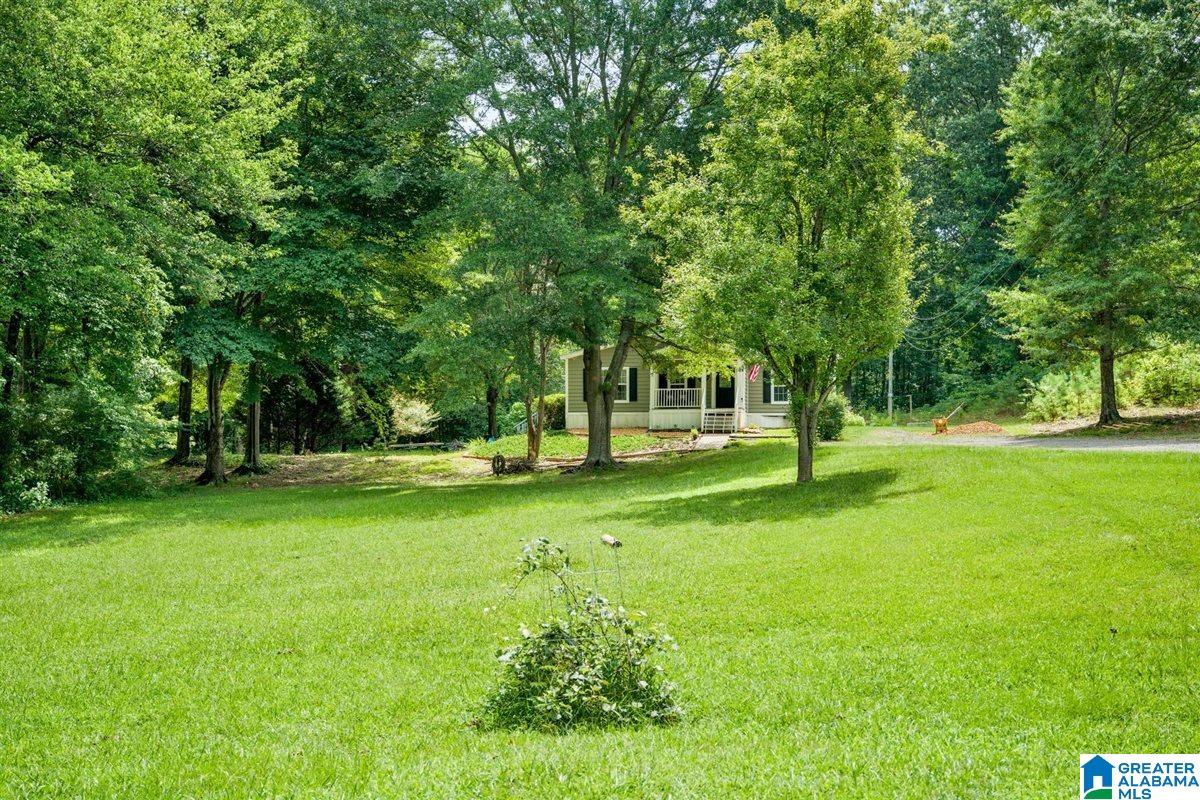 20th image of 25 Pierce Dr, Steele, AL 35987 | MLS# 21462116