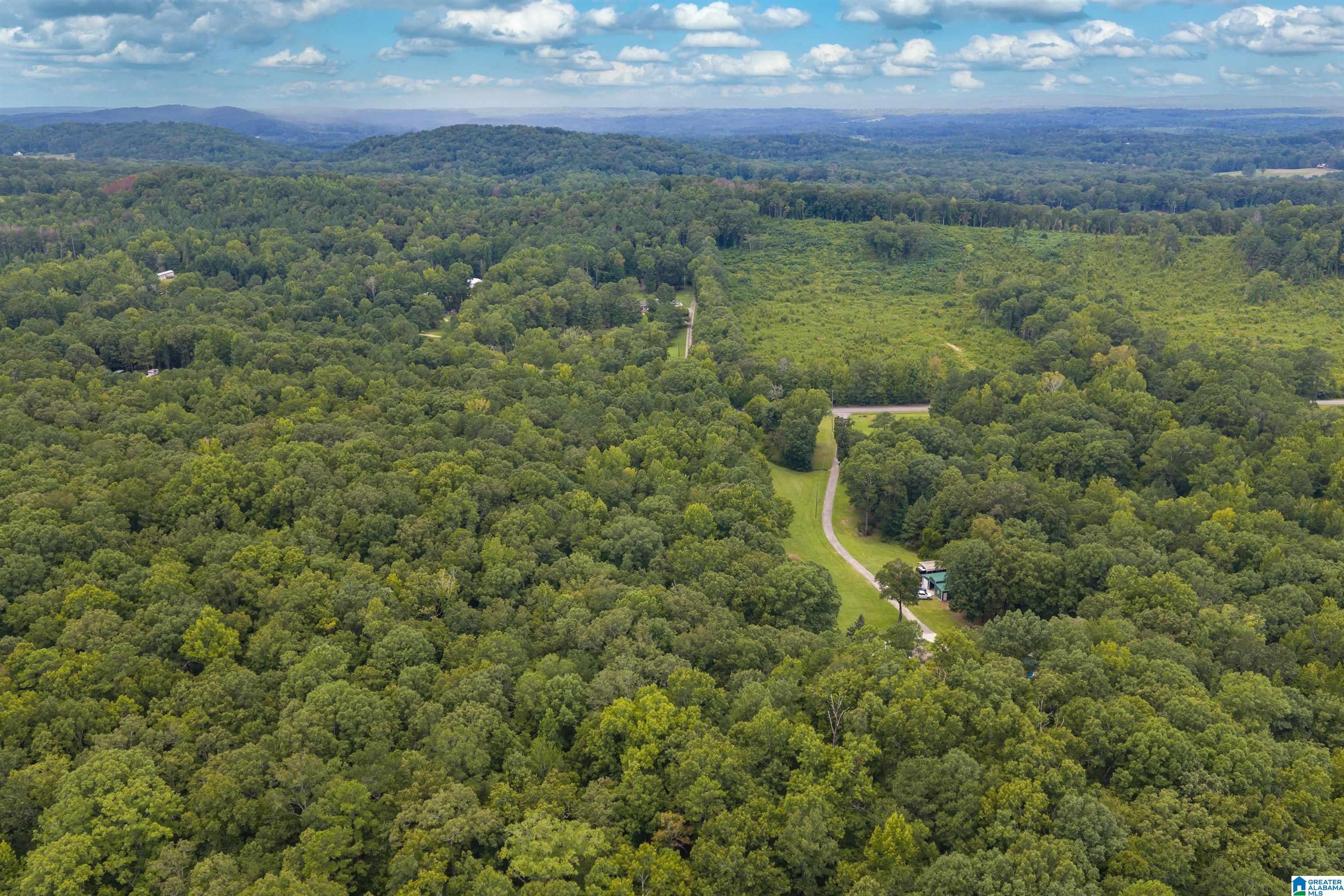 58th image of 1692 Florida Road, Pell City, AL 35125 | MLS# 21462132