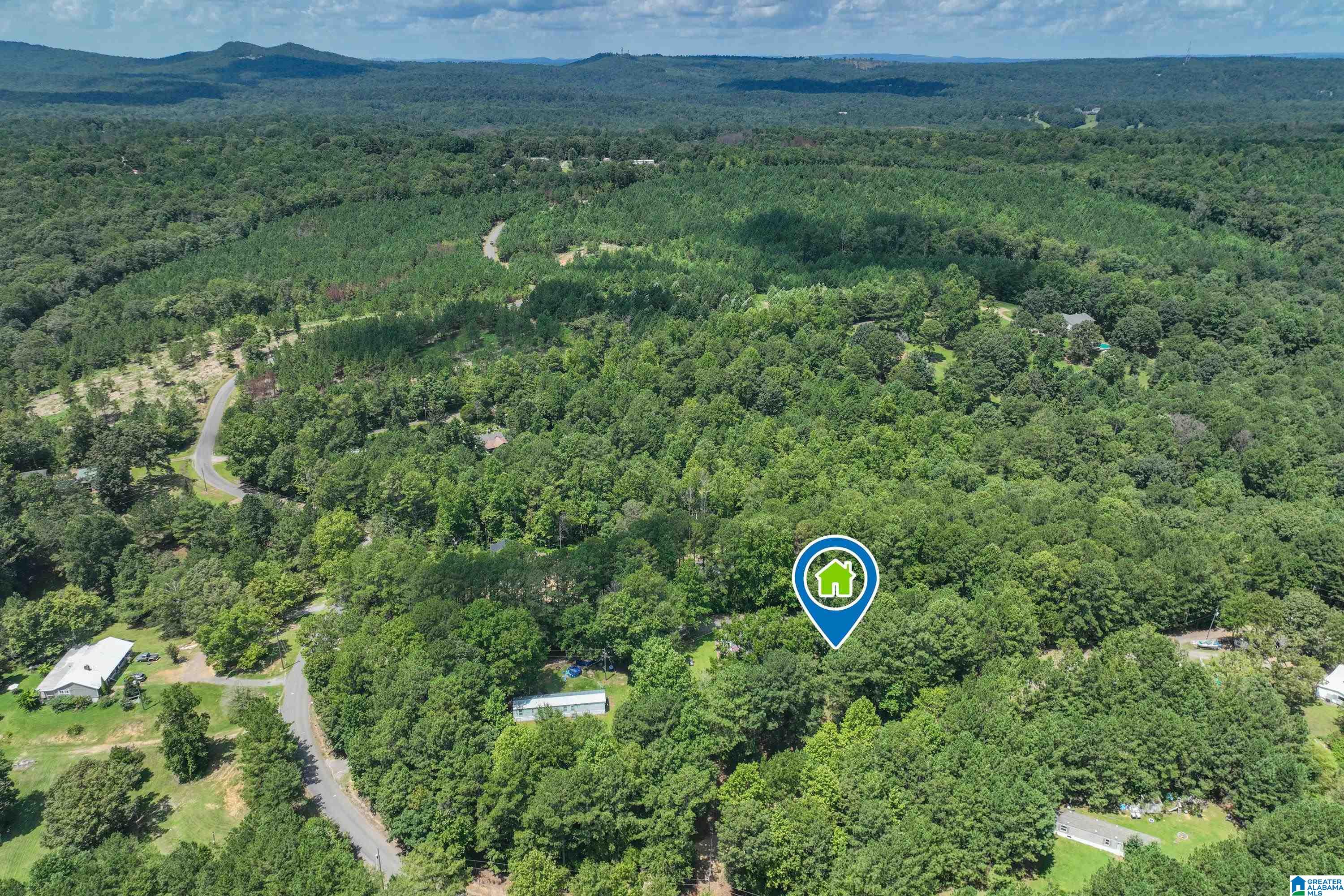 55th image of 605 Dogwood Estates Road, Pell City, AL 35125 | MLS# 21462142