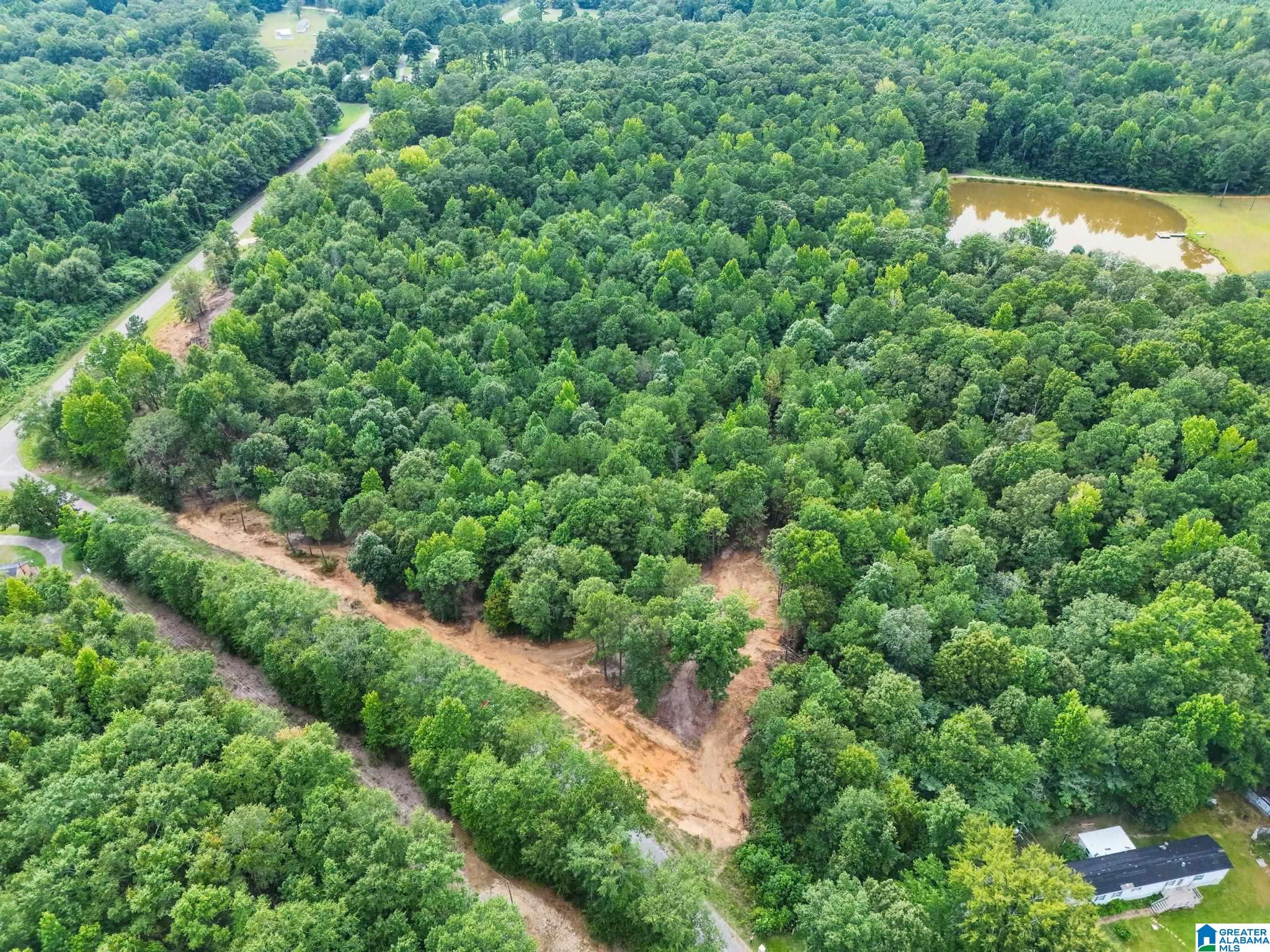2nd image of 00 County Road 121, Jemison, AL 35085 | MLS# 21462168