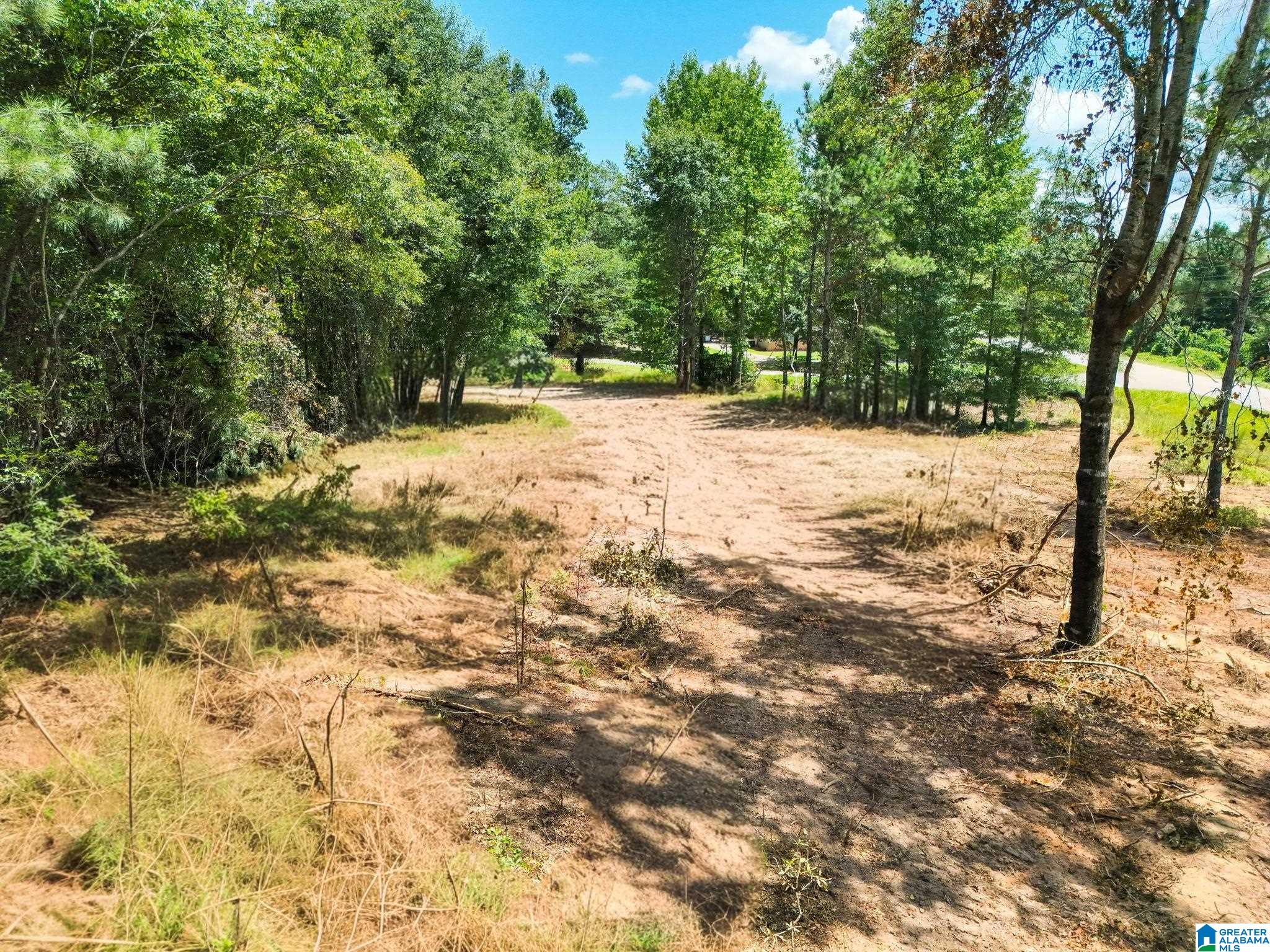 3rd image of 00 County Road 121, Jemison, AL 35085 | MLS# 21462168