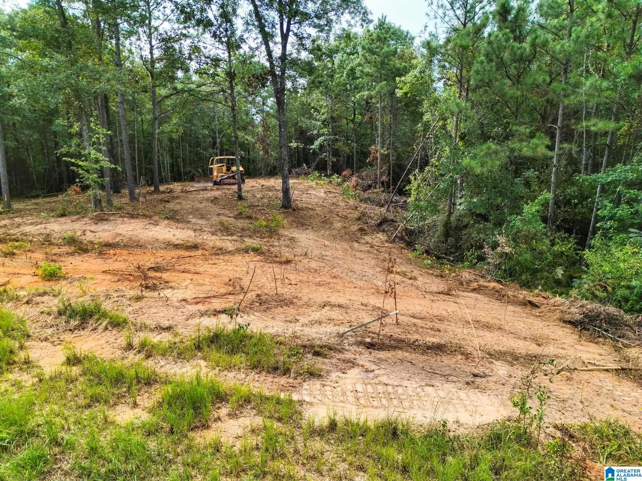 4th image of 00 County Road 121, Jemison, AL 35085 | MLS# 21462168