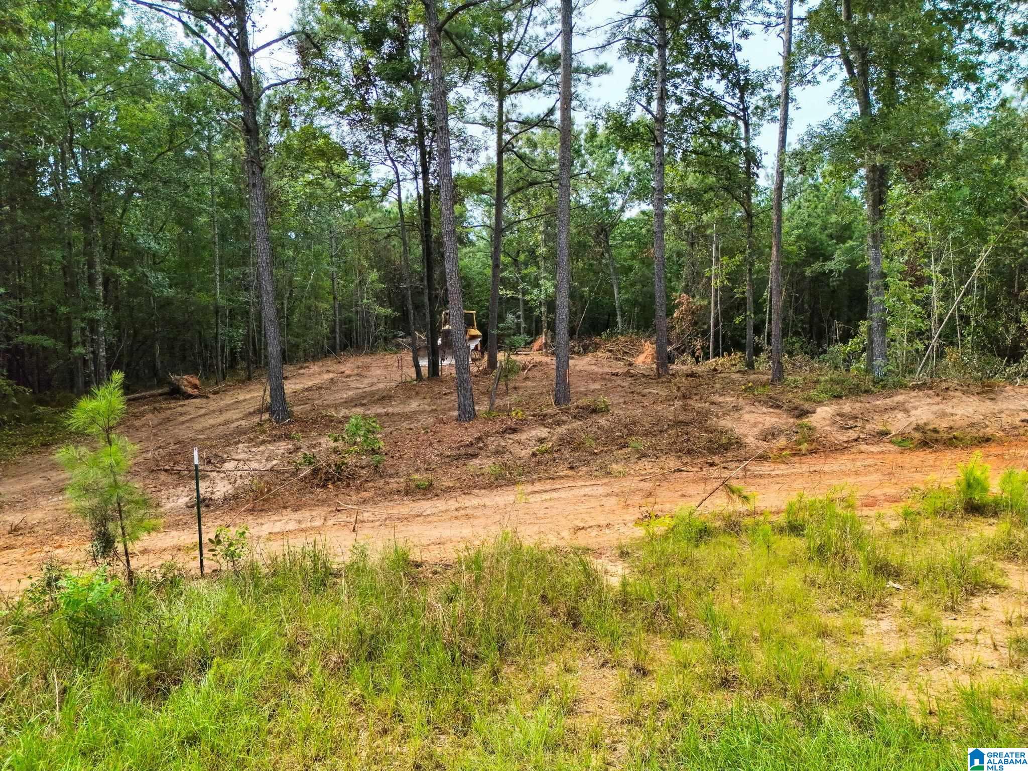 5th image of 00 County Road 121, Jemison, AL 35085 | MLS# 21462168