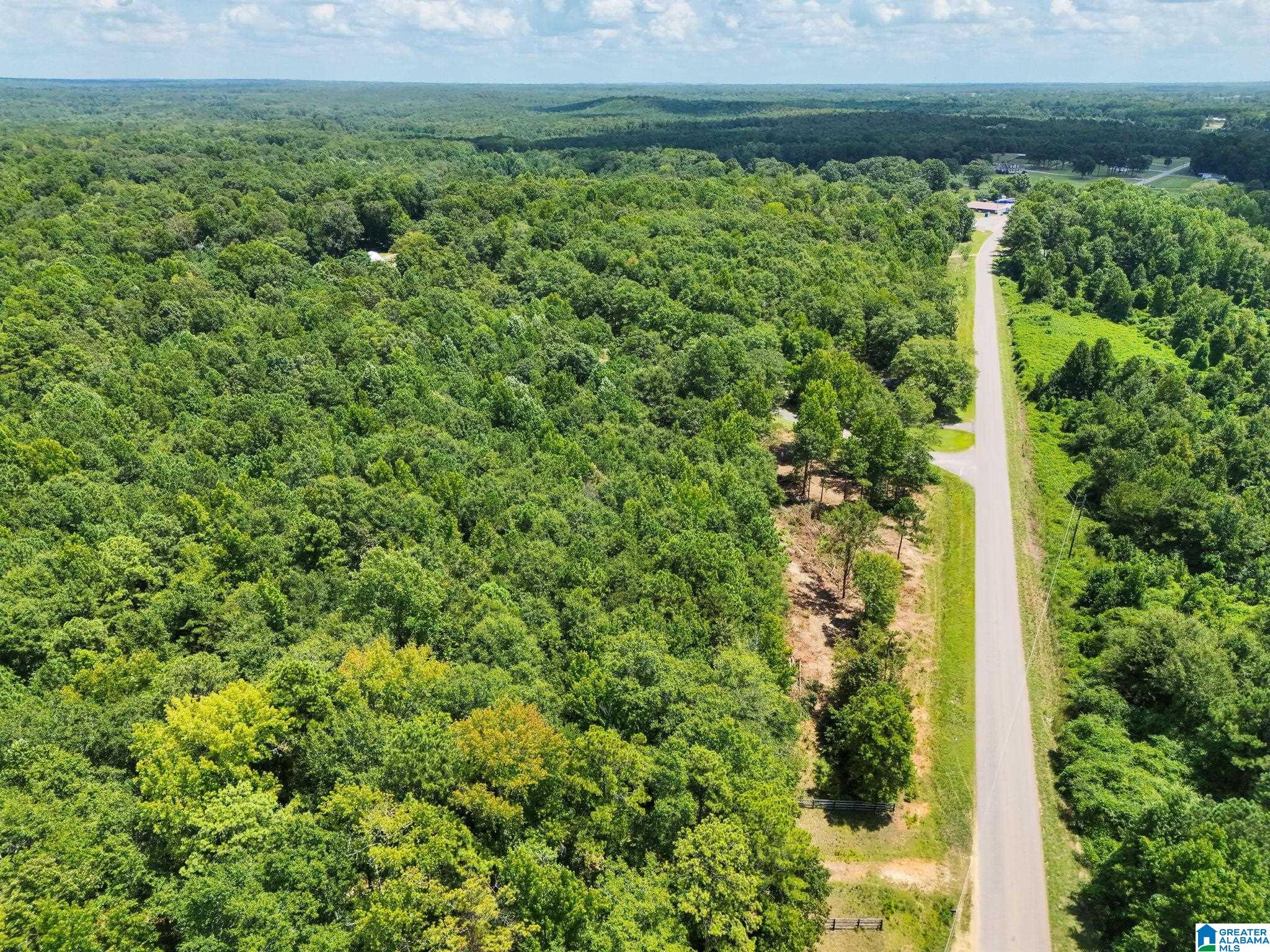 6th image of 00 County Road 121, Jemison, AL 35085 | MLS# 21462168