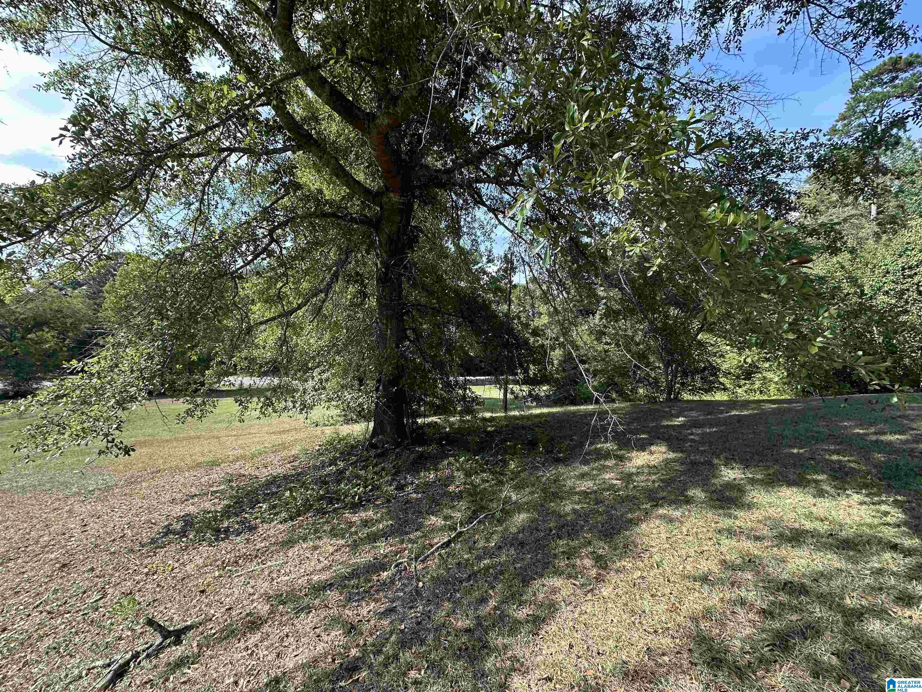 5th image of 1533 Park Avenue, Moody, AL 35004 | MLS# 21462193