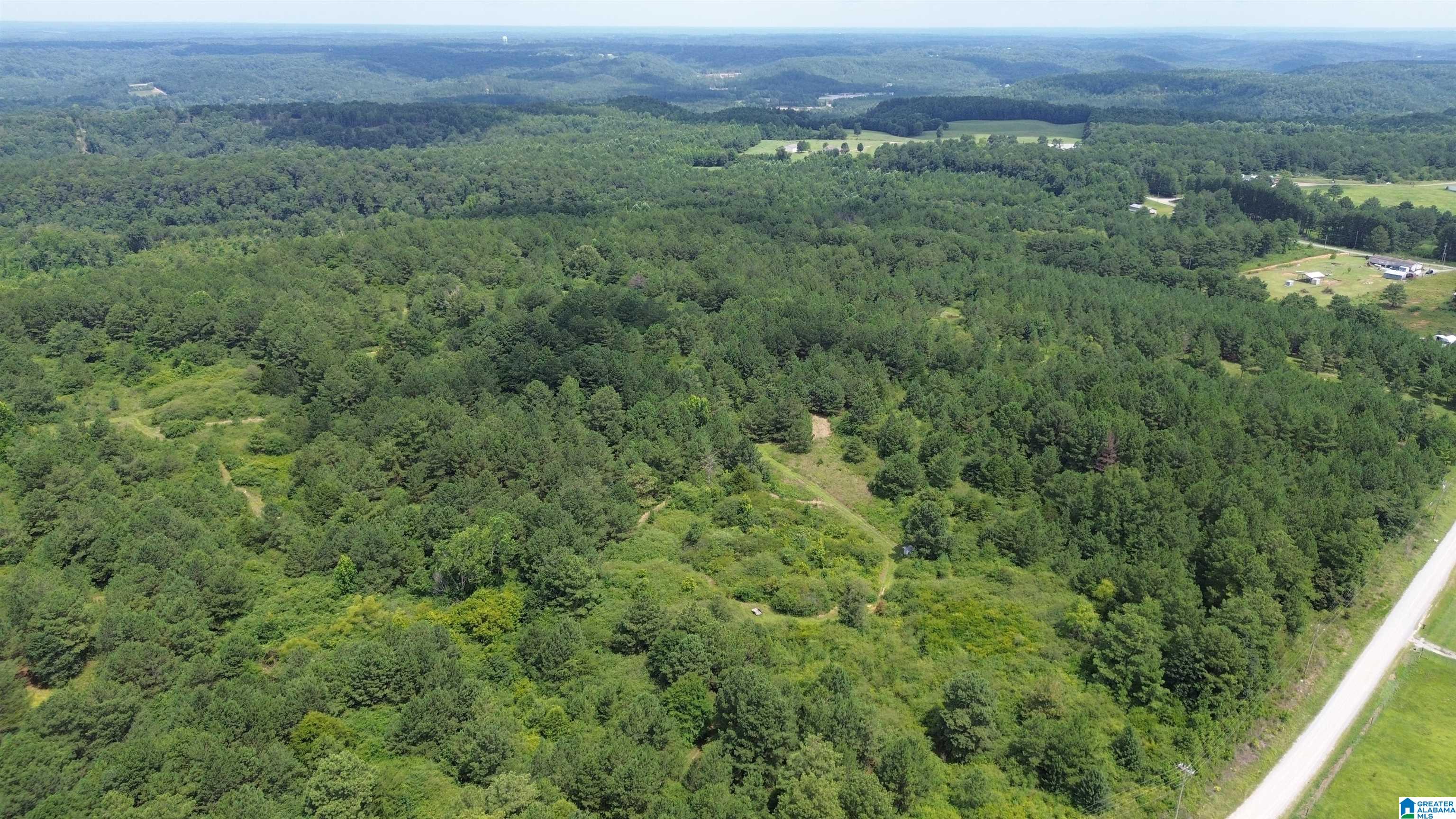 2nd image of 00 County Road 31, Bremen, AL 35033 | MLS# 21462222