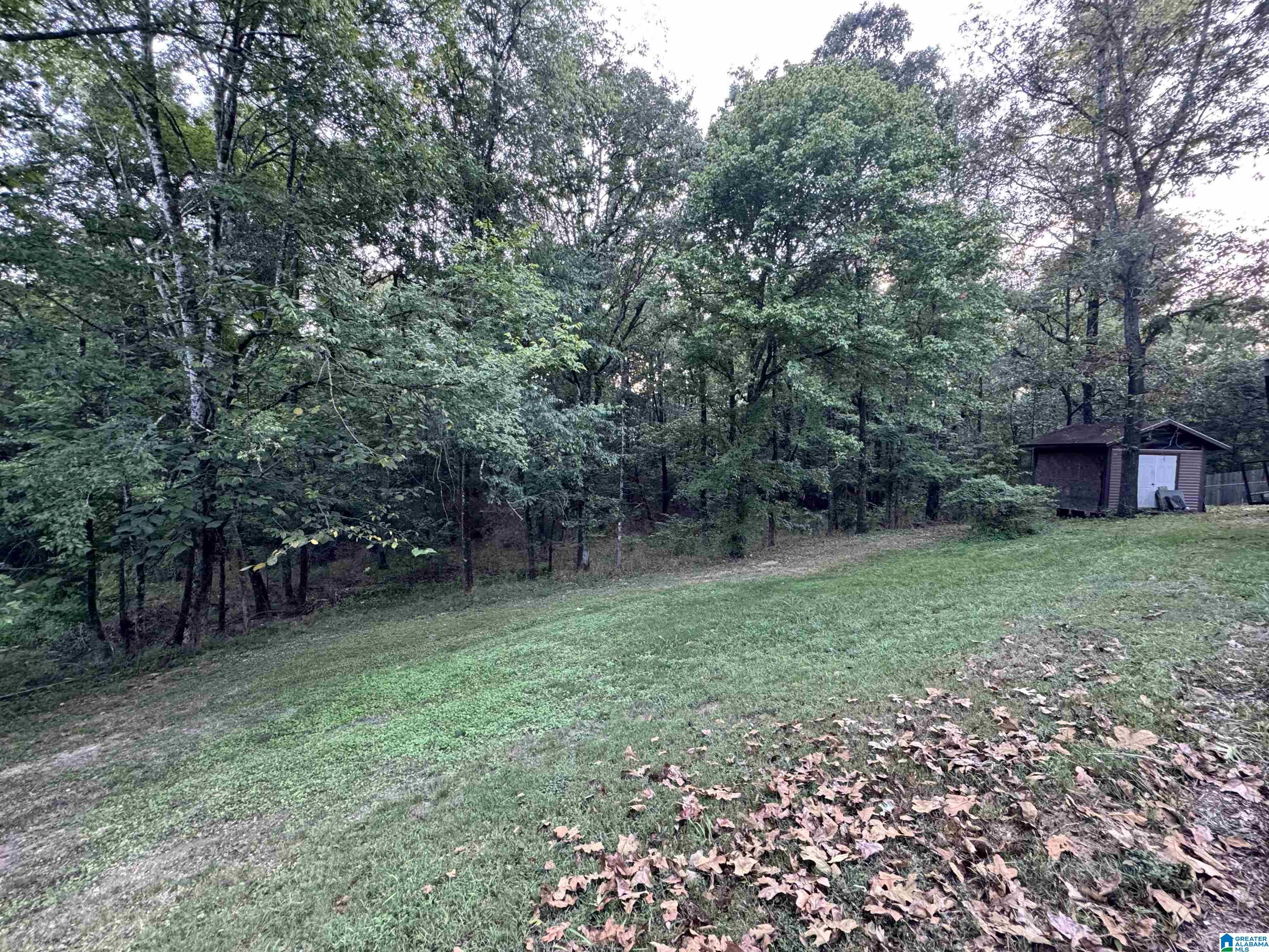 29th image of 545 Southern Hills Dr, Calera, AL 35040 | MLS# 21462228