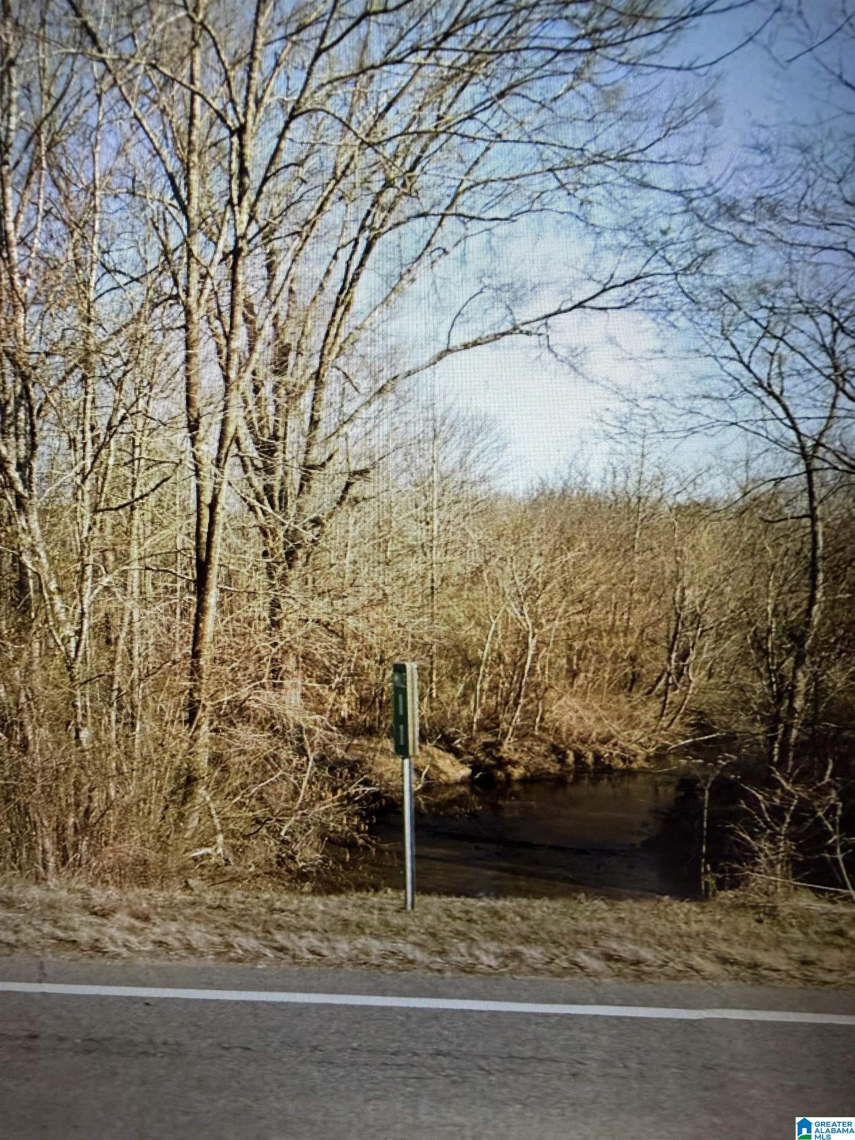 2nd image of 0 Hwy 145, Clanton, AL 35046 | MLS# 21462239