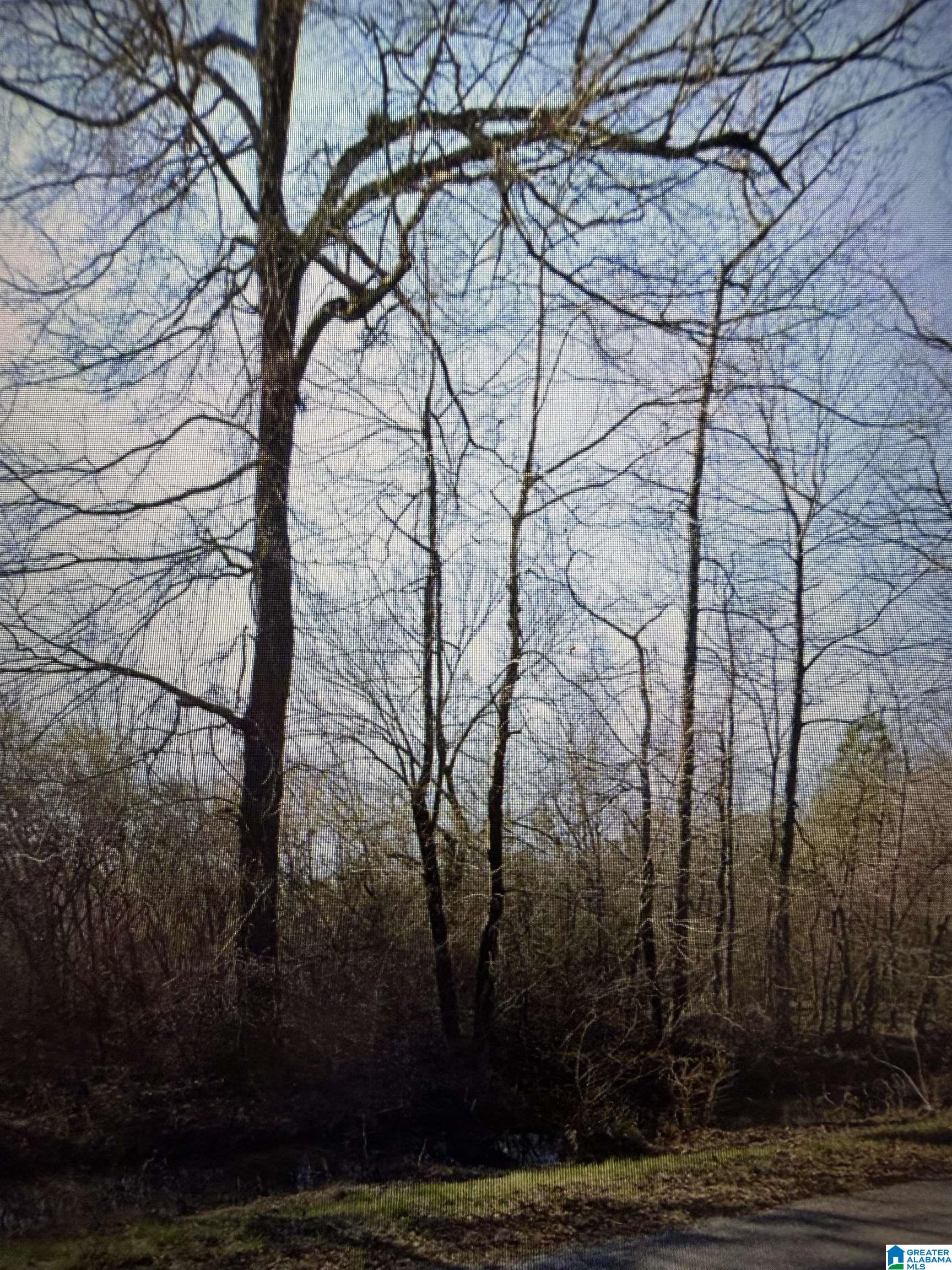 4th image of 0 Hwy 145, Clanton, AL 35046 | MLS# 21462239