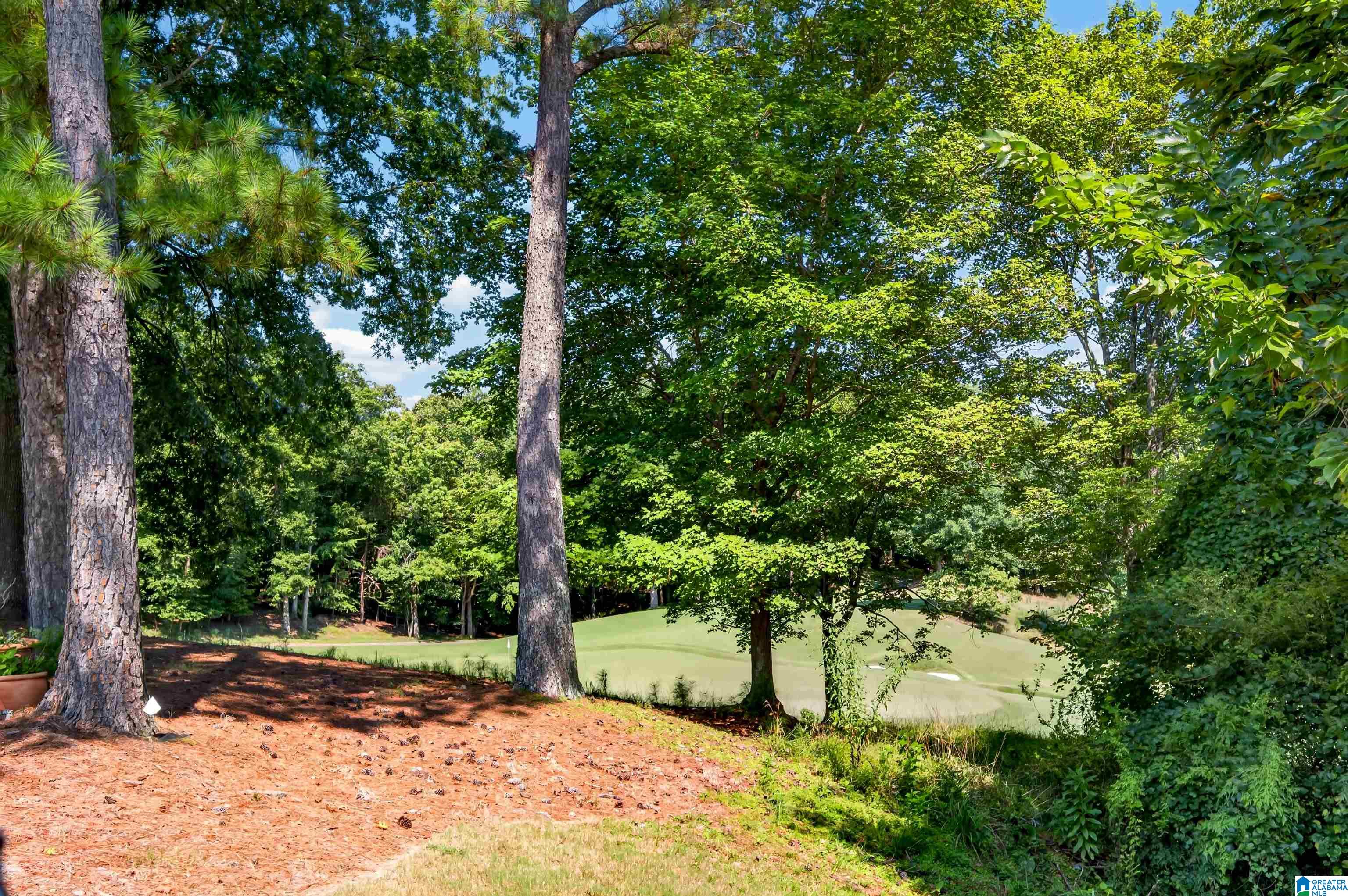 58th image of 309 Strathdon Pl, Vestavia, AL 35242 | MLS# 21462246