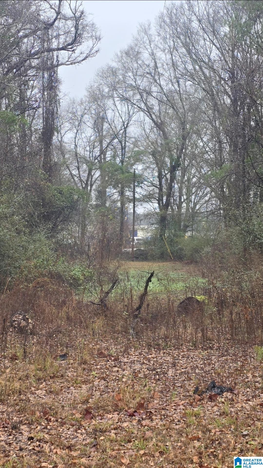 Photo 4 of Land for sale at 511 Lakeview Cir, Harpersville, AL 35078 | MLS# 21462256 | Listing updated on 2026-09-05