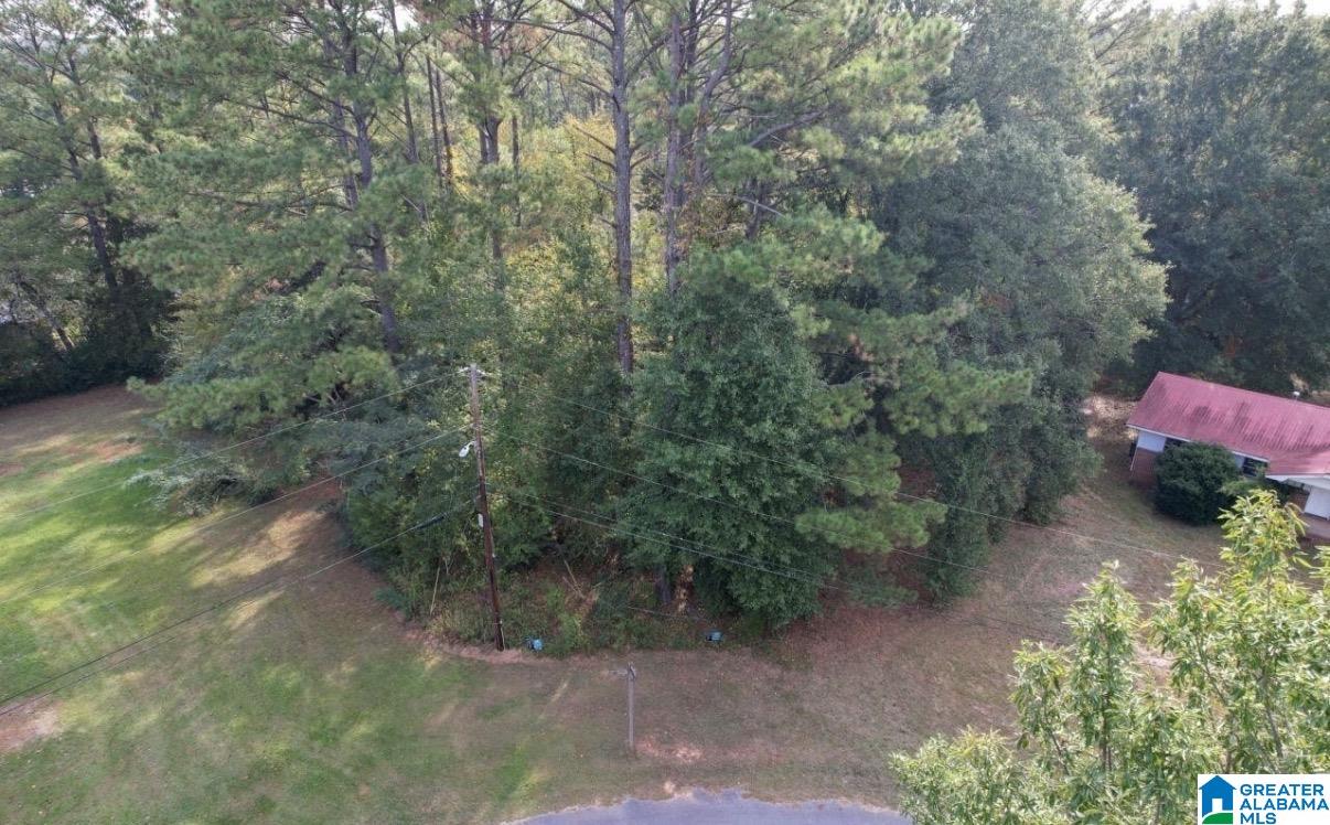 Photo 3 of Land for sale at 0 Ewing St, Montevallo, AL 35115 | MLS# 21462266 | Listing updated on 2026-08-15