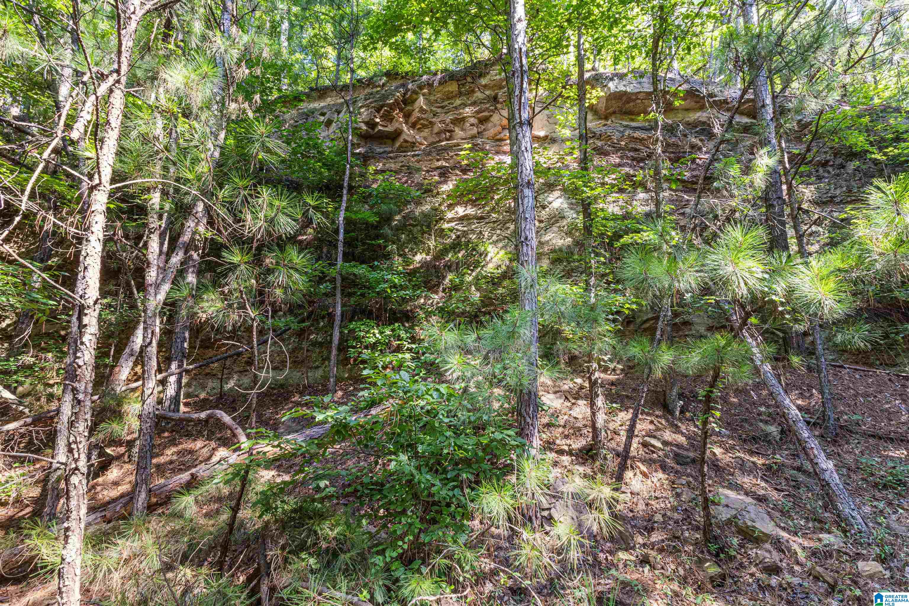 2nd image of 6 Acres Old Jacksonville Hwy, Anniston, AL 36206 | MLS# 21462279