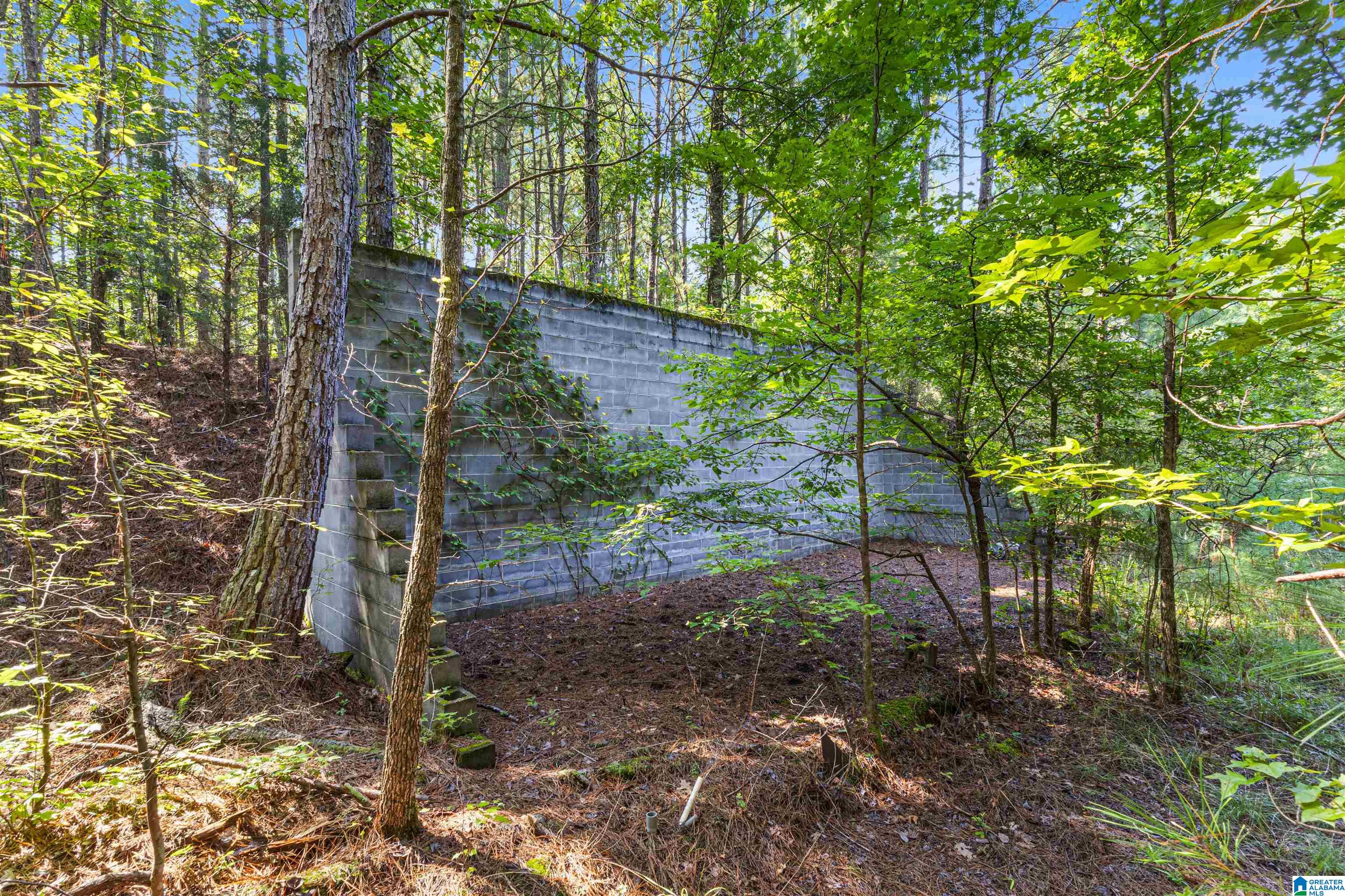 3rd image of 6 Acres Old Jacksonville Hwy, Anniston, AL 36206 | MLS# 21462279