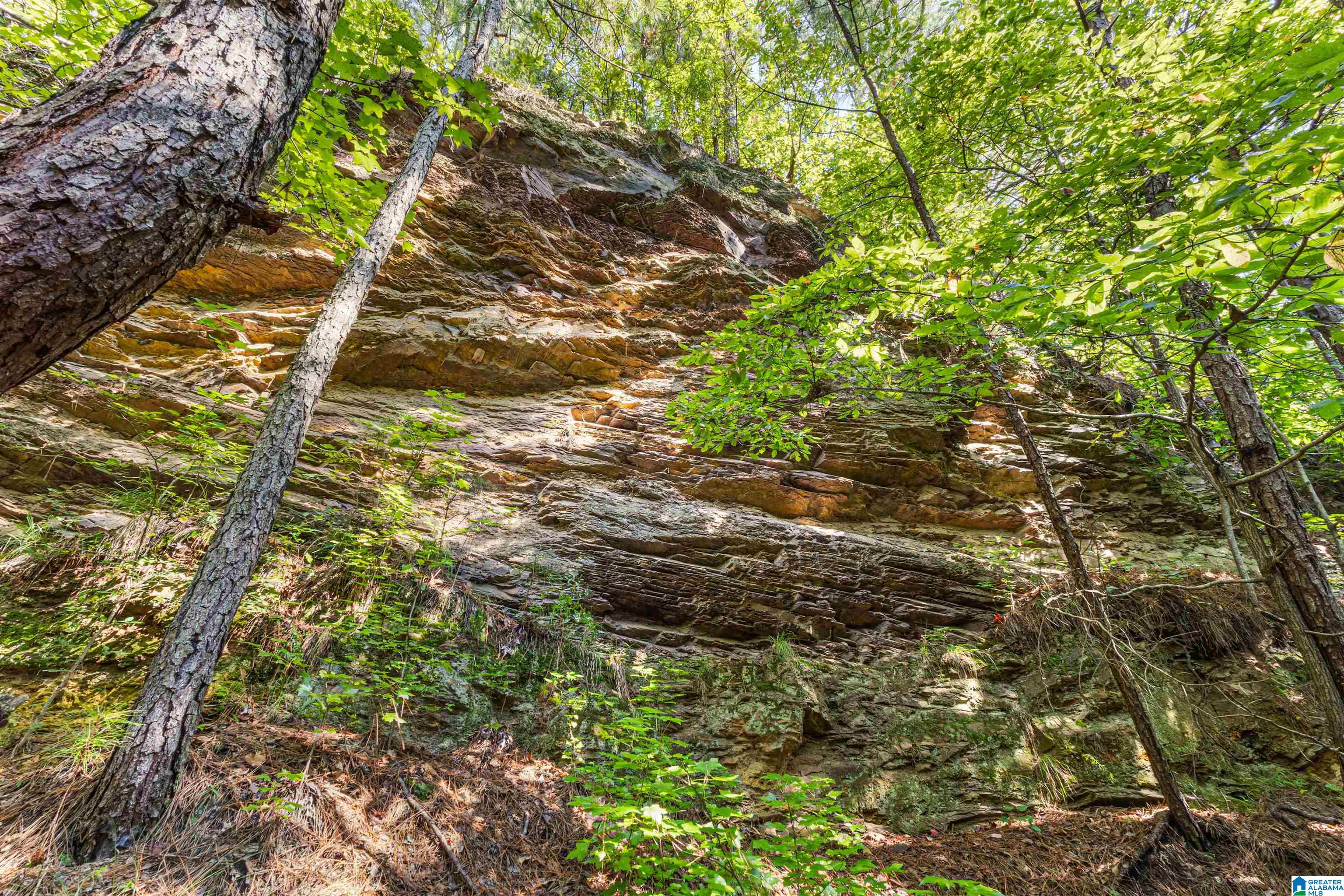 4th image of 6 Acres Old Jacksonville Hwy, Anniston, AL 36206 | MLS# 21462279