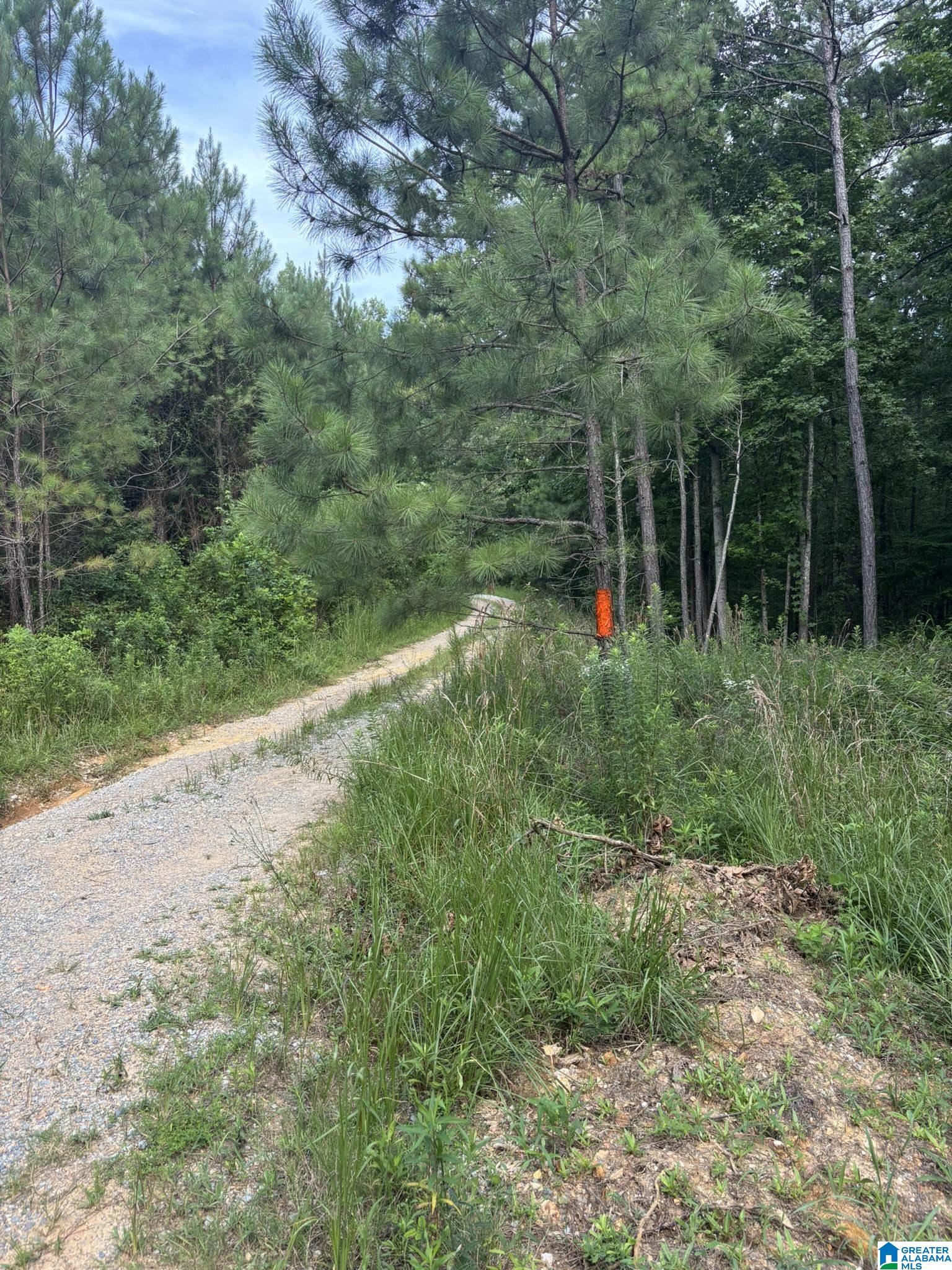 1st image of 00 Union T Road, Talladega, AL 35160 | MLS# 21462284