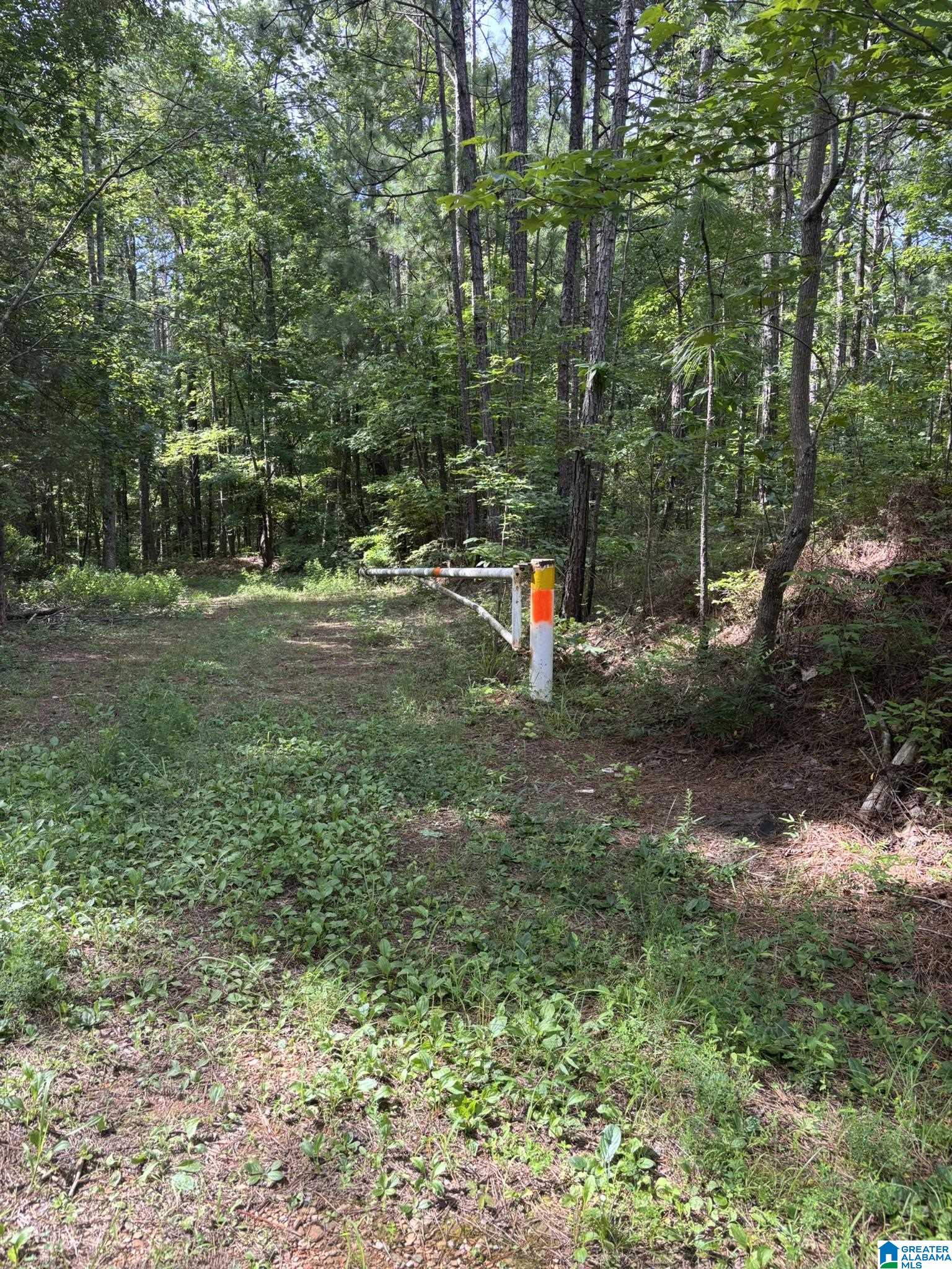 2nd image of 00 Union T Road, Talladega, AL 35160 | MLS# 21462284