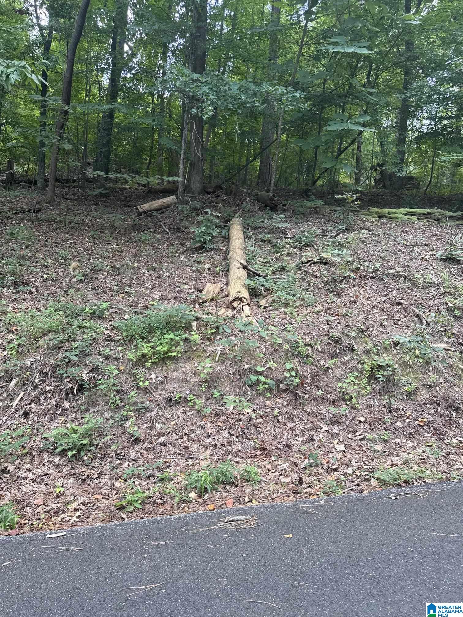 1st image of 3649 Paver Dr, Tuscaloosa, AL 35405 | MLS# 21462299