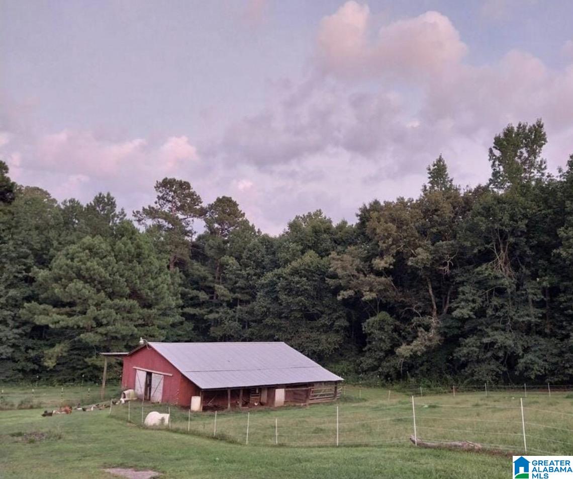 3rd image of 389 County Road 555, Hanceville, AL 35077 | MLS# 21462302