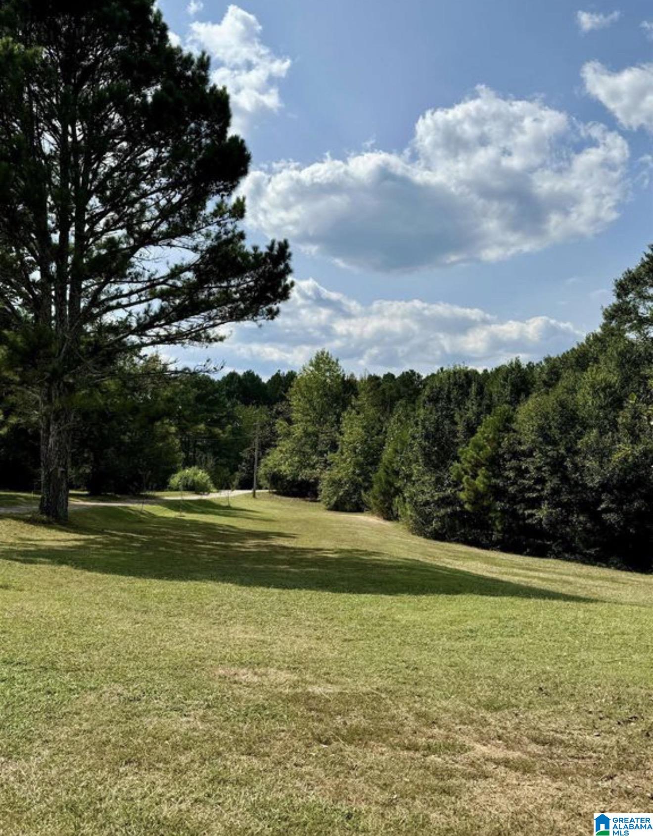 4th image of 389 County Road 555, Hanceville, AL 35077 | MLS# 21462302