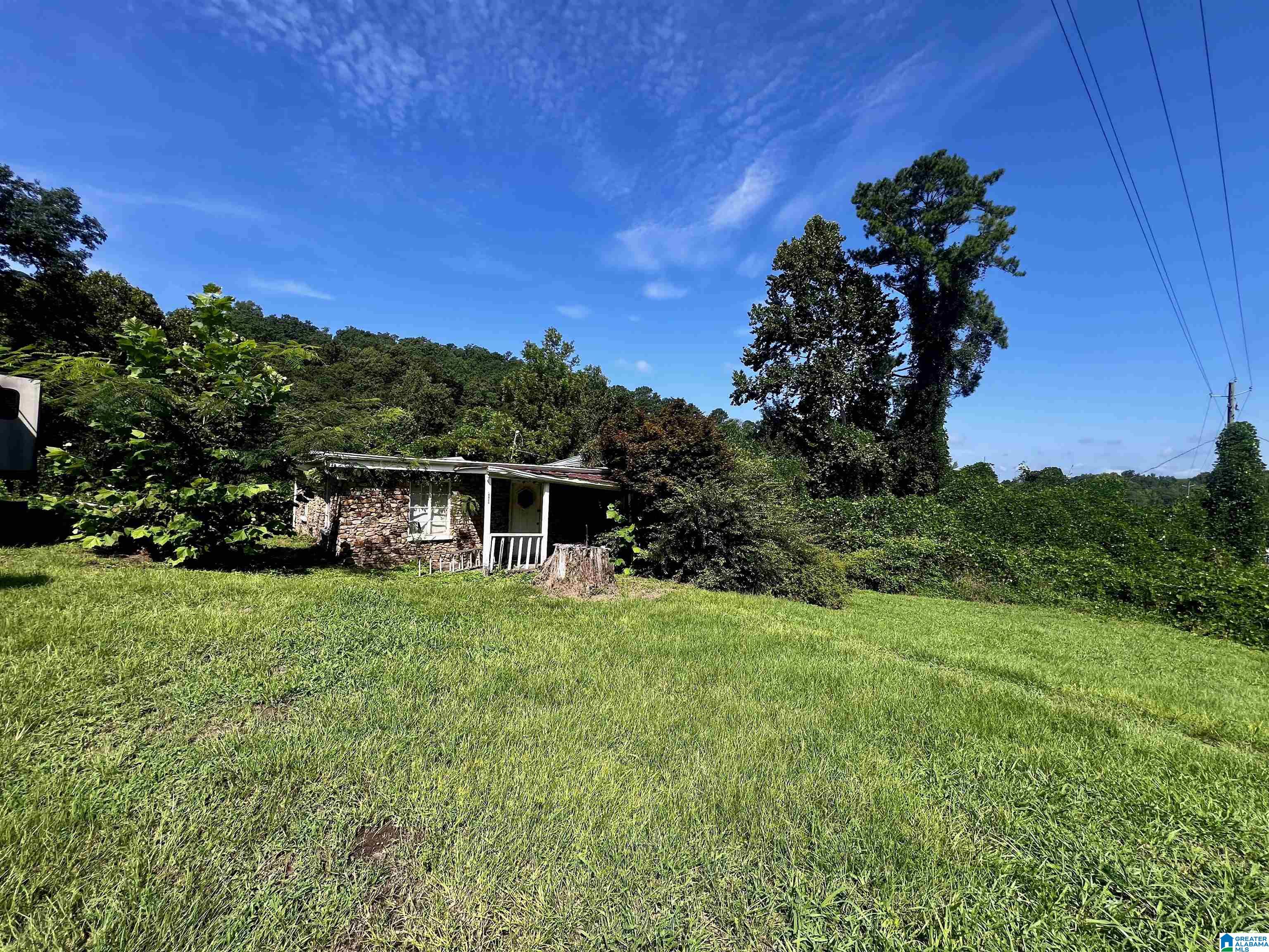 1st image of 57181 Hwy 231, Oneonta, AL 35121 | MLS# 21462370