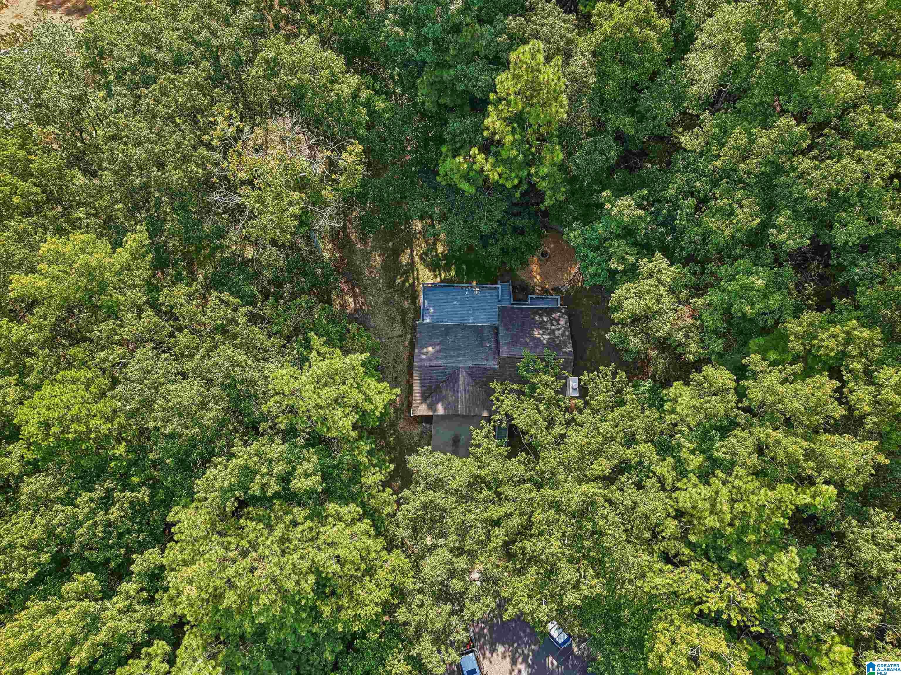 3rd image of 1017 Burnt Pine Lane, Alabaster, AL 35114 | MLS# 21462377