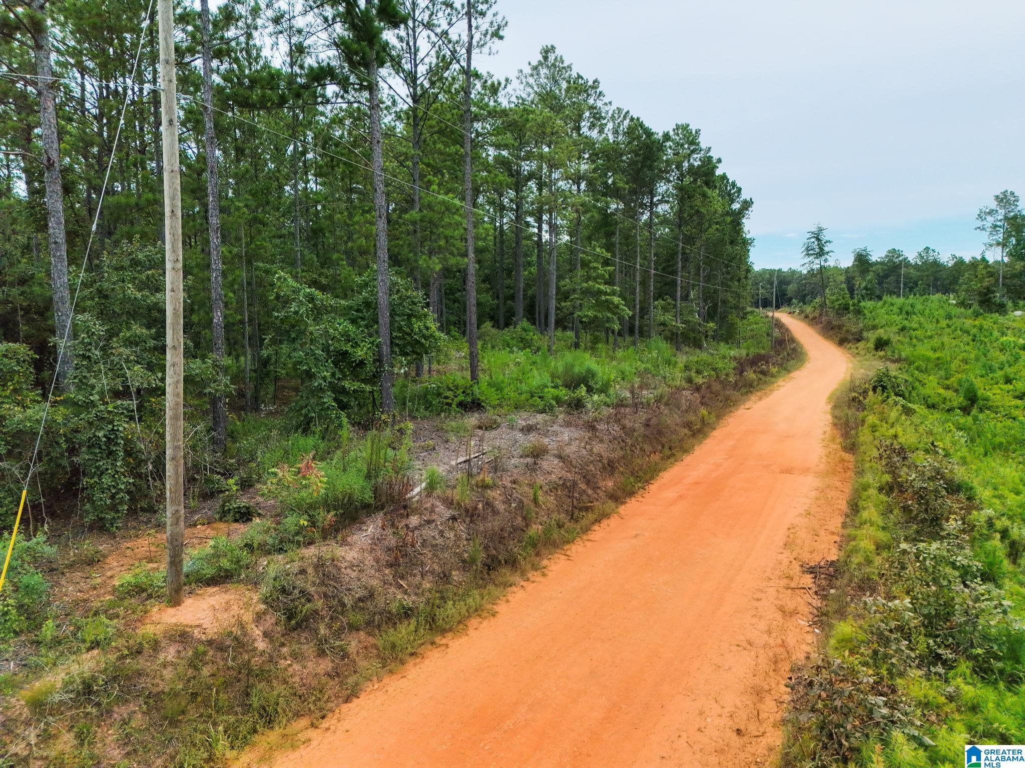 10th image of 204 County Road 485, Clanton, AL 35046 | MLS# 21462464
