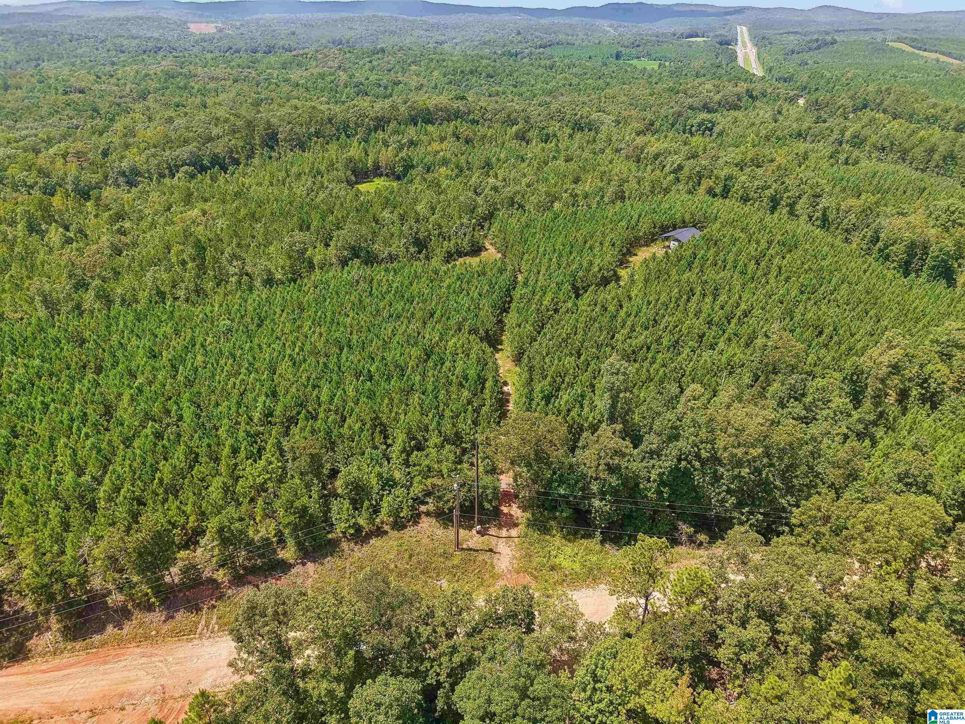 17th image of 2387 County Road 131, Goodwater, AL 35072 | MLS# 21462478