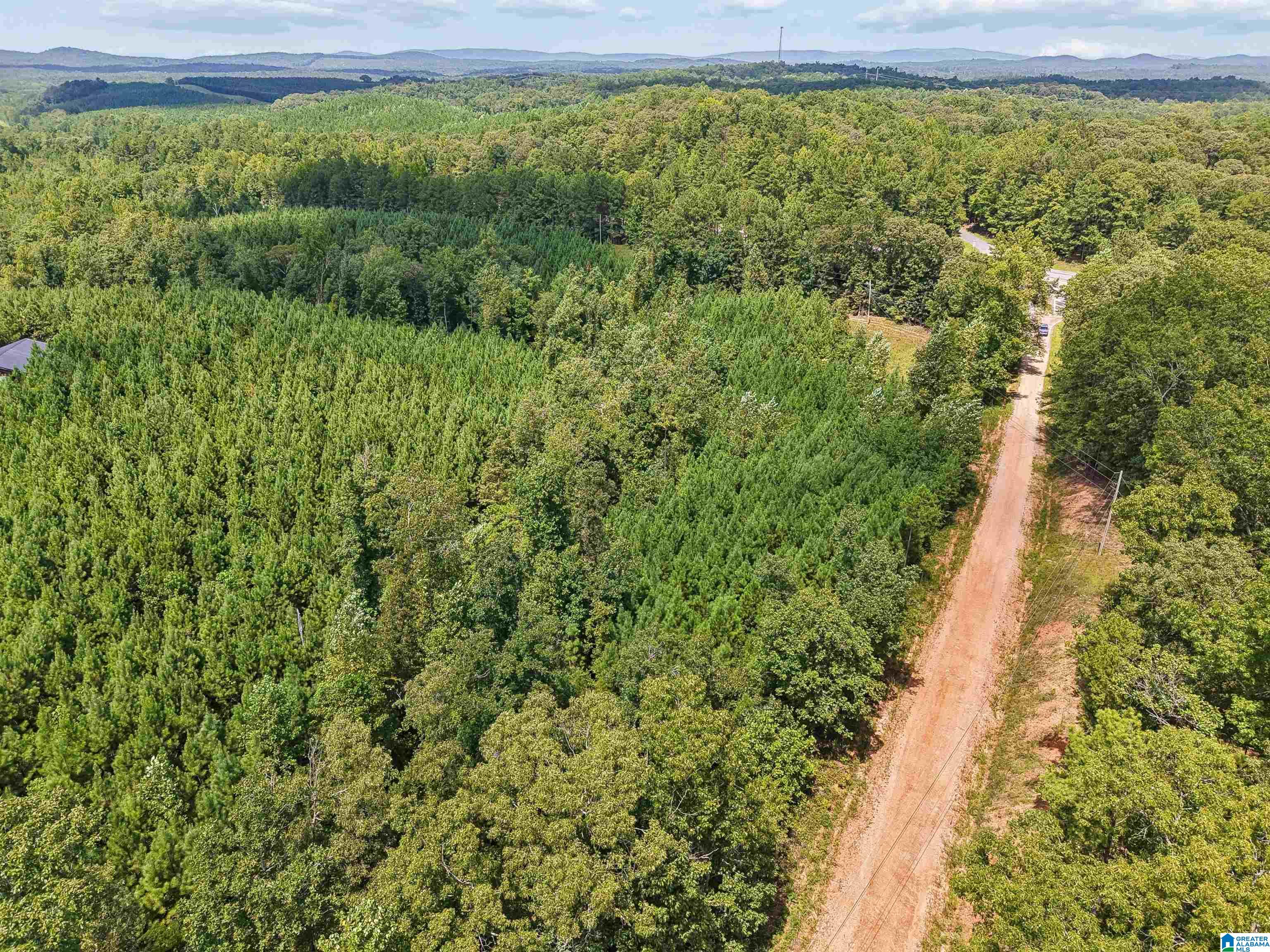 4th image of 2387 County Road 131, Goodwater, AL 35072 | MLS# 21462478