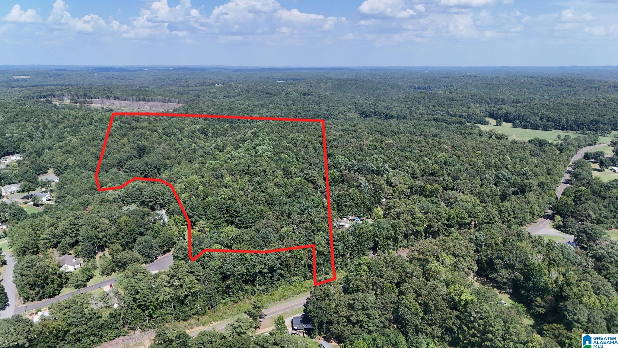 1st image of 0 Clements Road, Cottondale, AL 35453 | MLS# 21462523