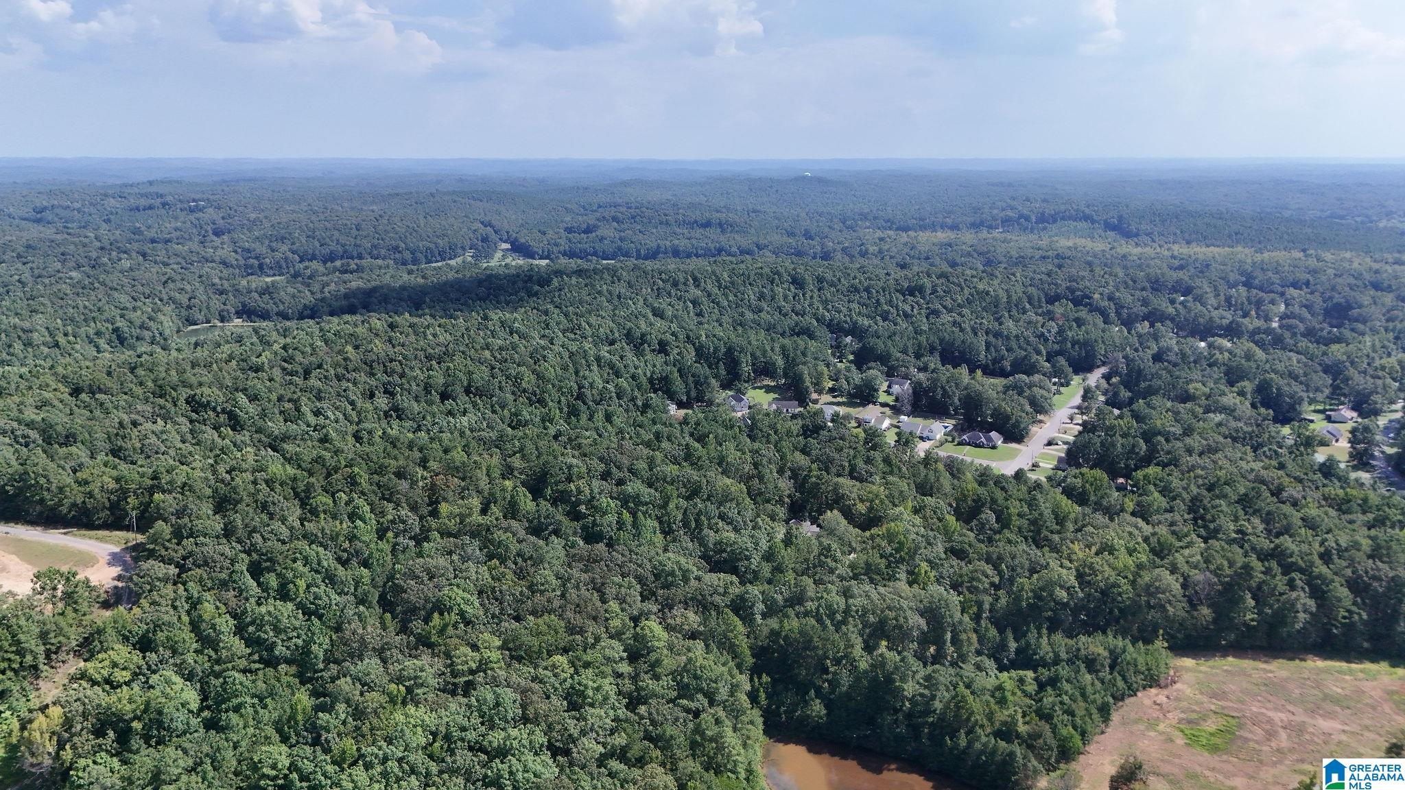 13th image of 0 Clements Road, Cottondale, AL 35453 | MLS# 21462523